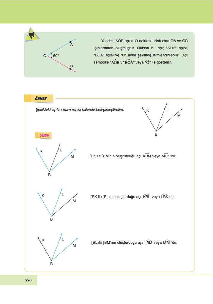 6. Sınıf Meb Yayınları Matematik Ders Kitabı Sayfa 228 Cevapları