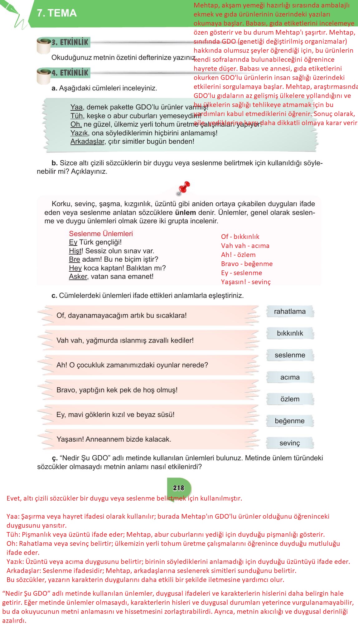 6. Sınıf Meb Yayınları Türkçe Ders Kitabı Sayfa 218 Cevapları