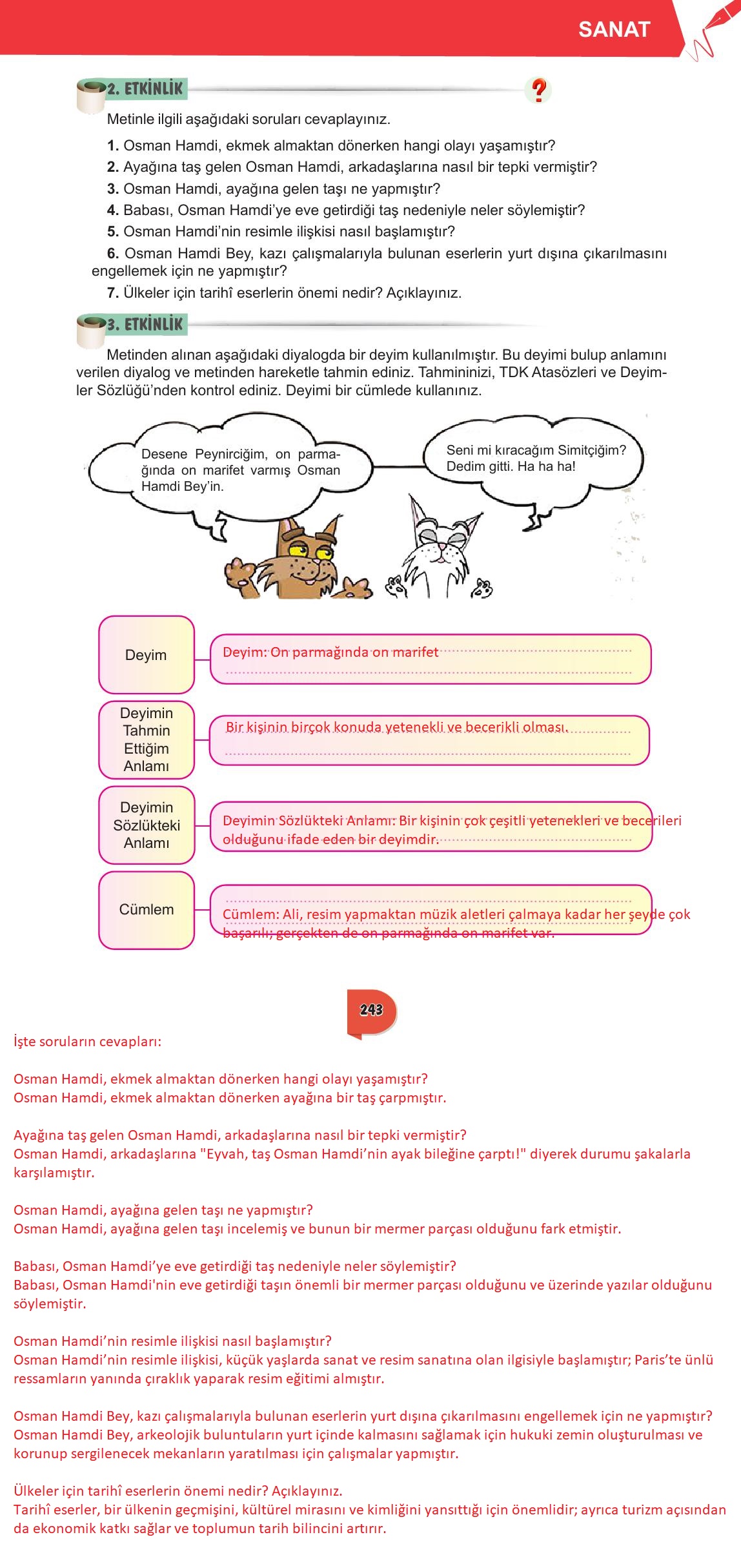 6. Sınıf Meb Yayınları Türkçe Ders Kitabı Sayfa 243 Cevapları