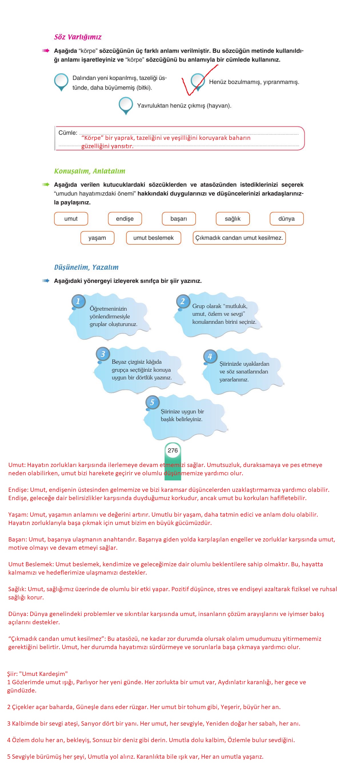 6. Sınıf Yıldırım Yayınları Türkçe Ders Kitabı Sayfa 276 Cevapları