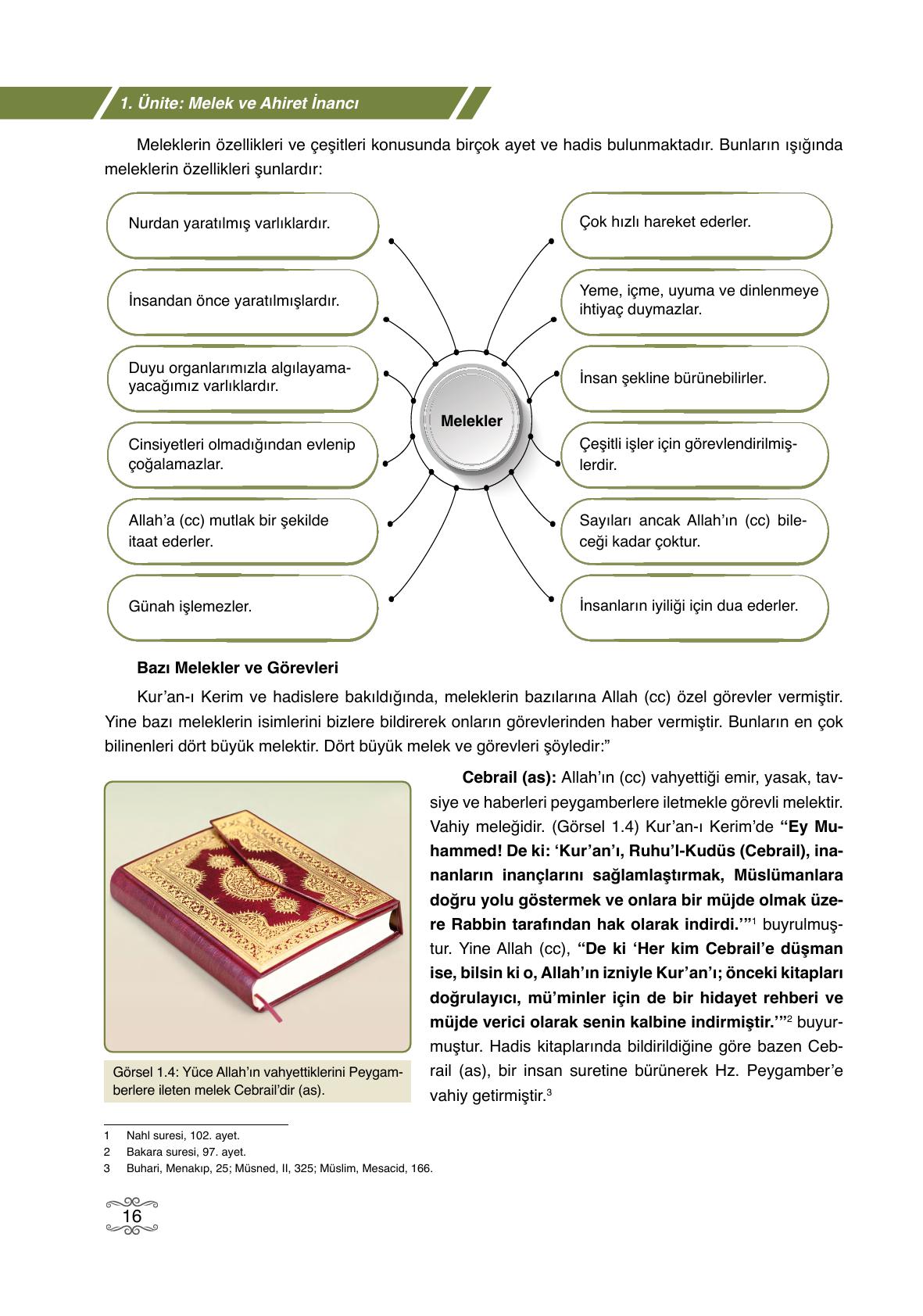 7. Sınıf Erkad Yayıncılık Din Kültürü Ve Ahlak Bilgisi Ders Kitabı Sayfa 16 Cevapları