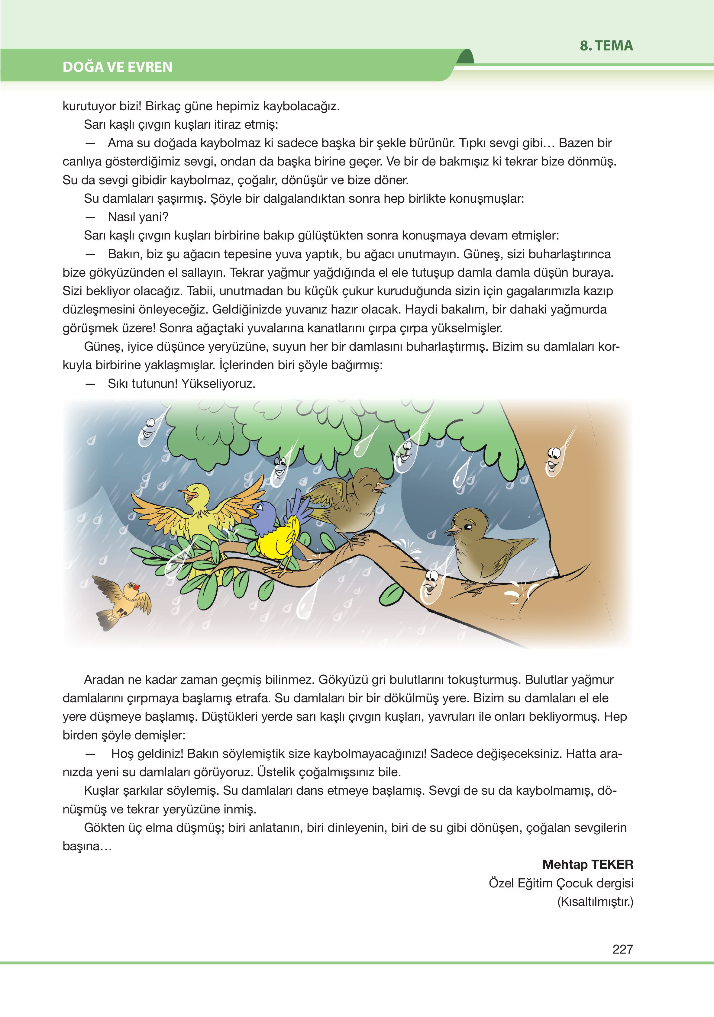 7. Sınıf Özgün Yayıncılık Türkçe Ders Kitabı Sayfa 227 Cevapları