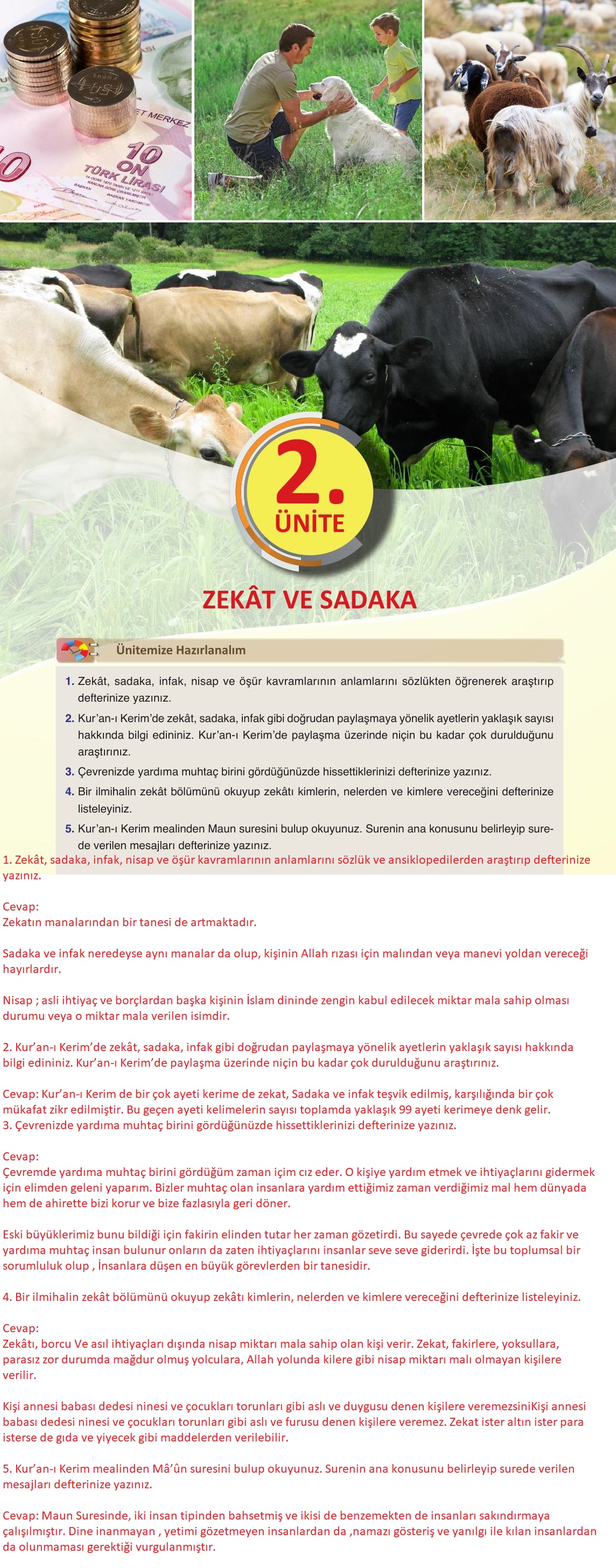 8. Sınıf Gezegen Yayıncılık Din Kültürü Ve Ahlak Bilgisi Ders Kitabı Sayfa 37 Cevapları