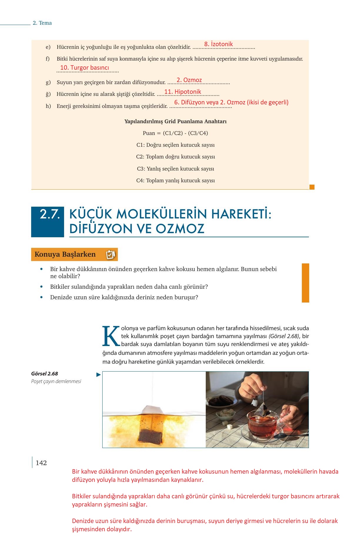 9. Sınıf Meb Yayınları Biyoloji Ders Kitabı Sayfa 142 Cevapları