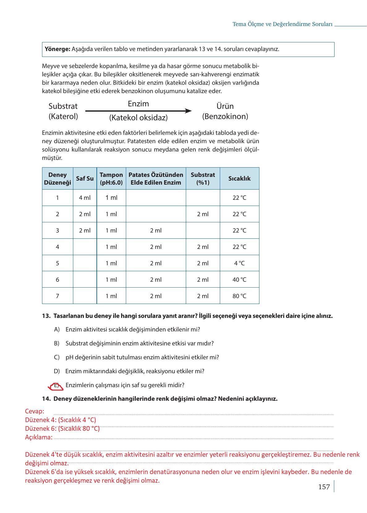 9. Sınıf Meb Yayınları Biyoloji Ders Kitabı Sayfa 157 Cevapları