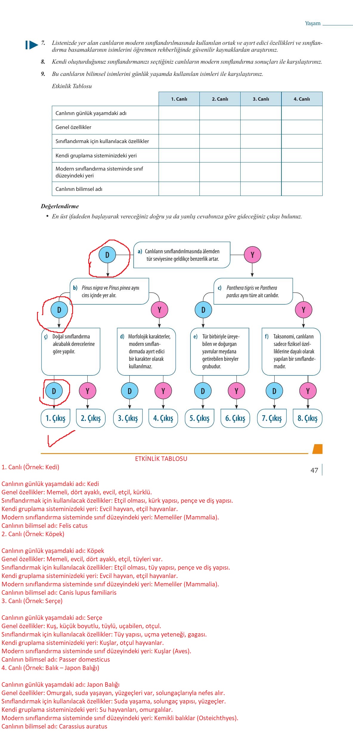 9. Sınıf Meb Yayınları Biyoloji Ders Kitabı Sayfa 47 Cevapları 9. Sınıf Meb Yayınları Biyoloji Ders Kitabı Sayfa 47 Cevapları