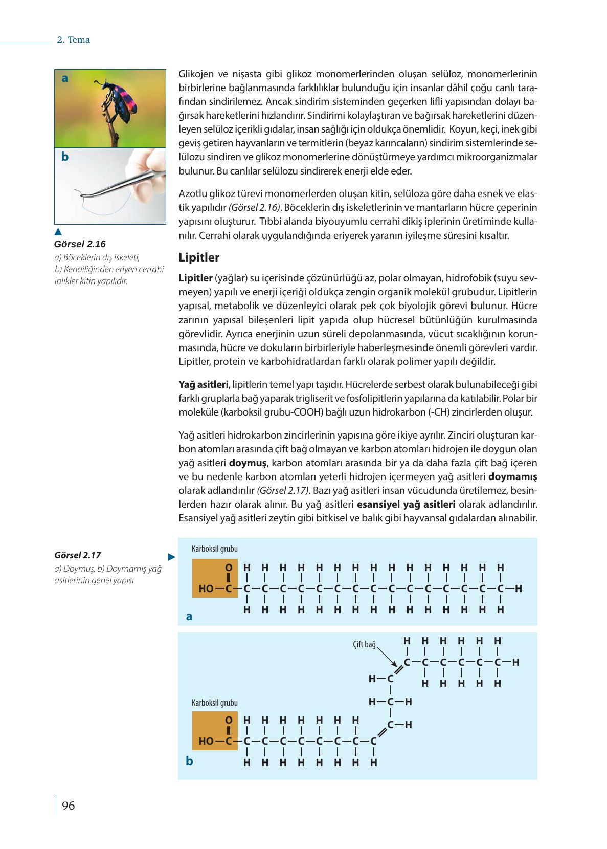 9. Sınıf Meb Yayınları Biyoloji Ders Kitabı Sayfa 96 Cevapları 9. Sınıf Meb Yayınları Biyoloji Ders Kitabı Sayfa 96 Cevapları