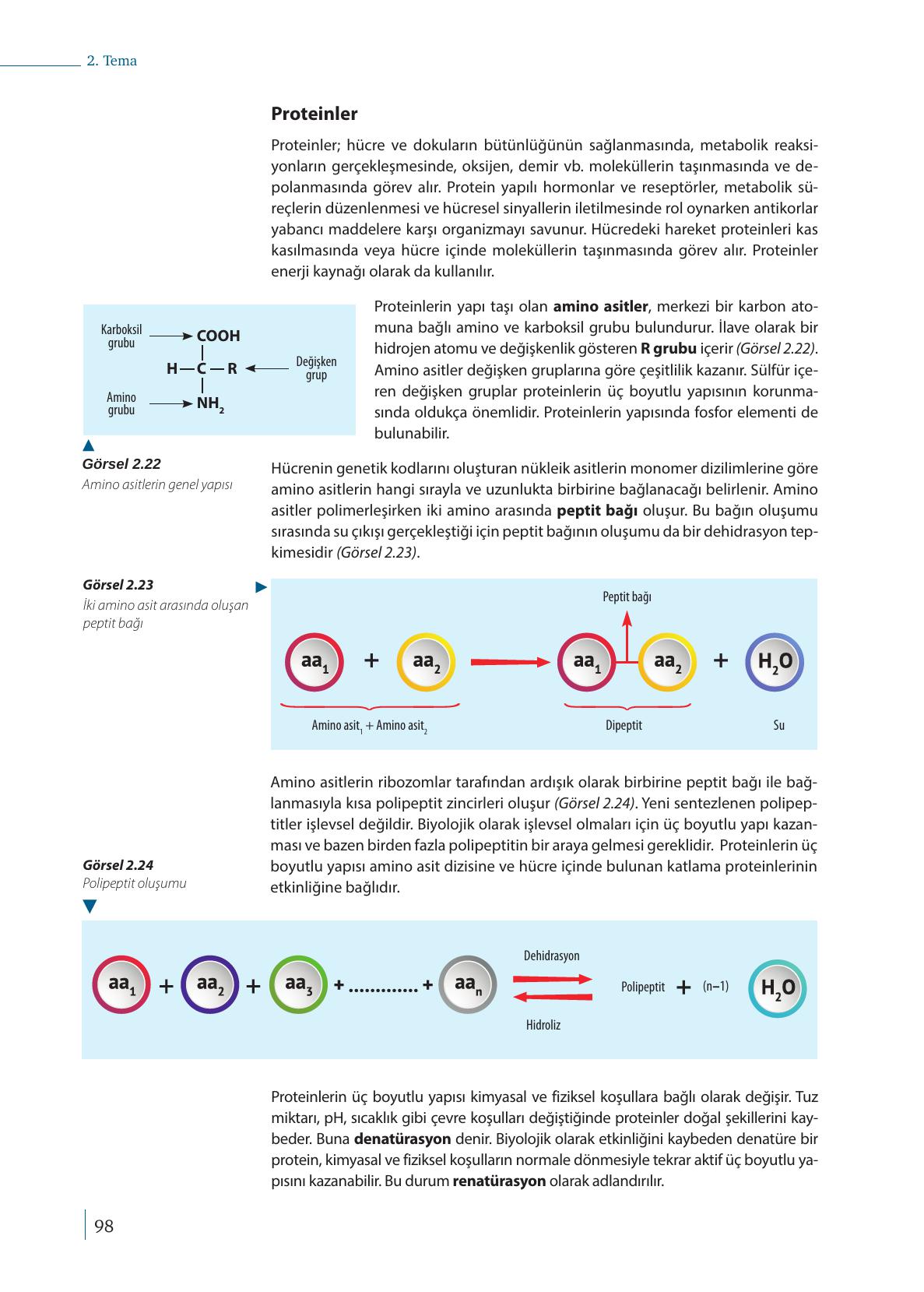 9. Sınıf Meb Yayınları Biyoloji Ders Kitabı Sayfa 98 Cevapları 9. Sınıf Meb Yayınları Biyoloji Ders Kitabı Sayfa 98 Cevapları