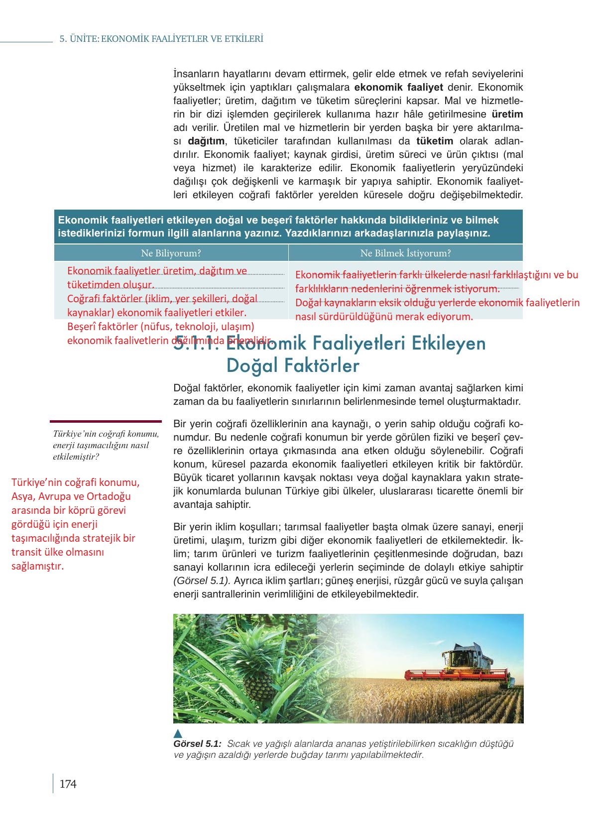 9. Sınıf Meb Yayınları Coğrafya Ders Kitabı Sayfa 174 Cevapları