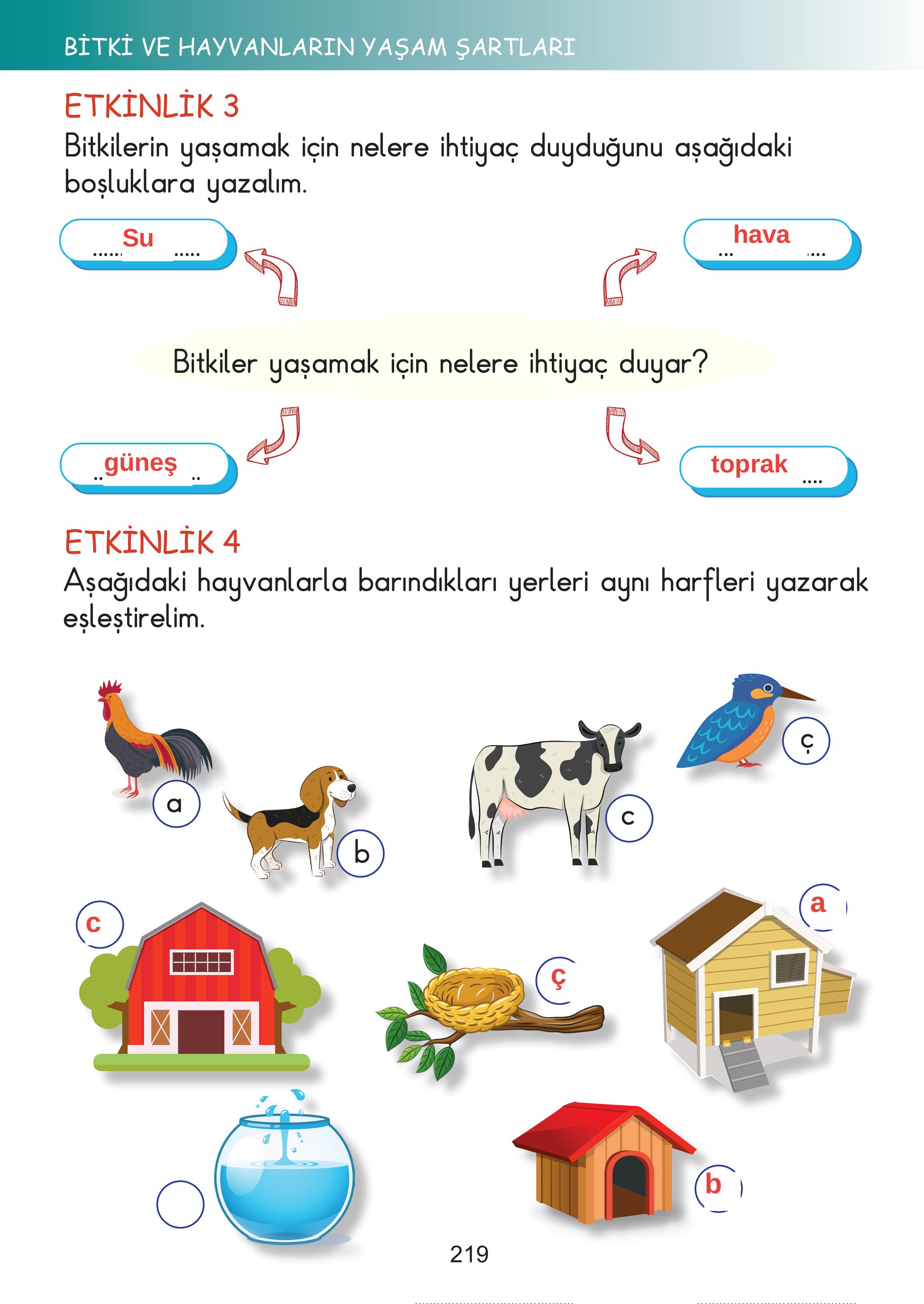 2. Sınıf Meb Yayınları Hayat Bilgisi Ders Kitabı Sayfa 219 Cevapları