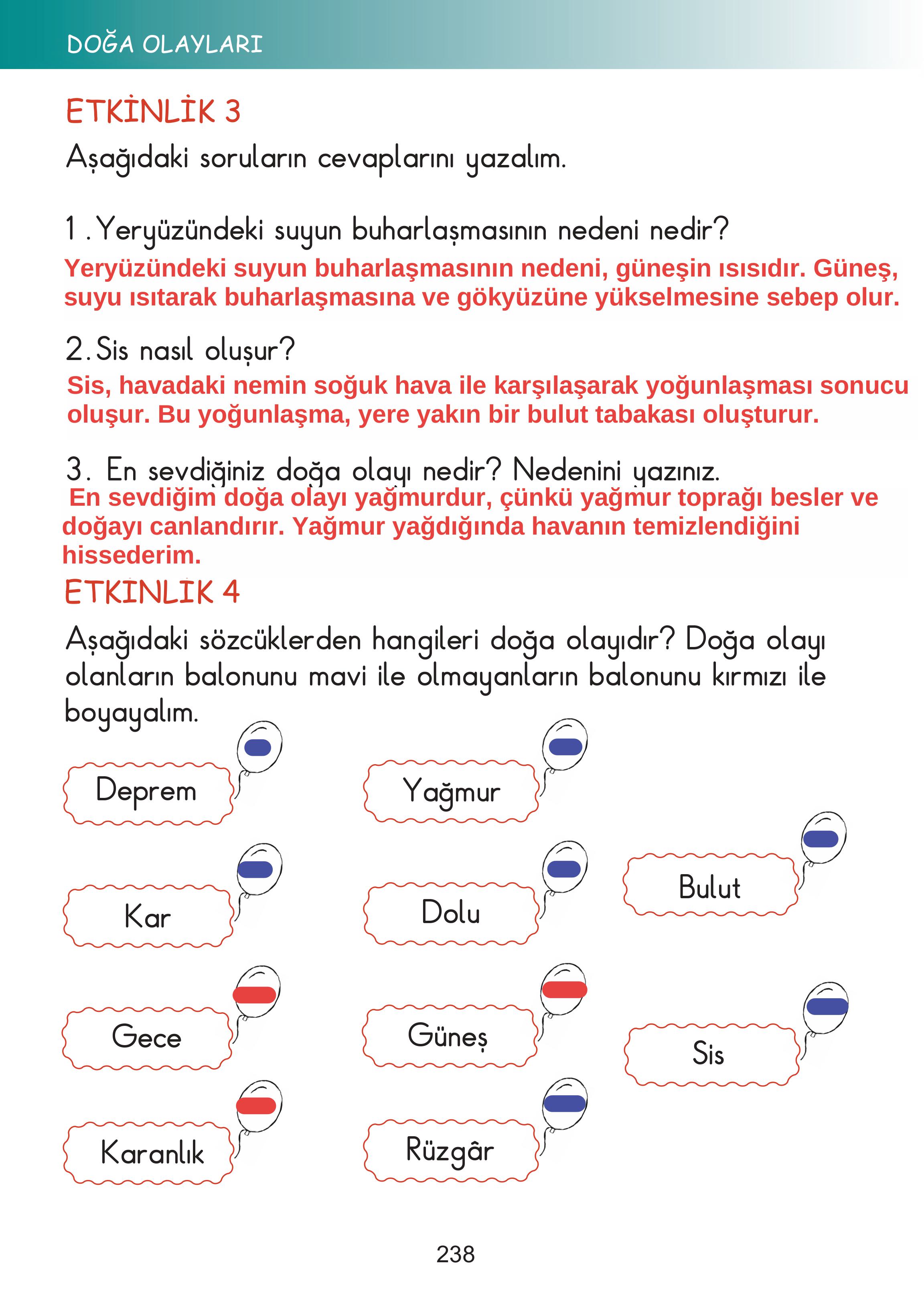 2. Sınıf Meb Yayınları Hayat Bilgisi Ders Kitabı Sayfa 238 Cevapları