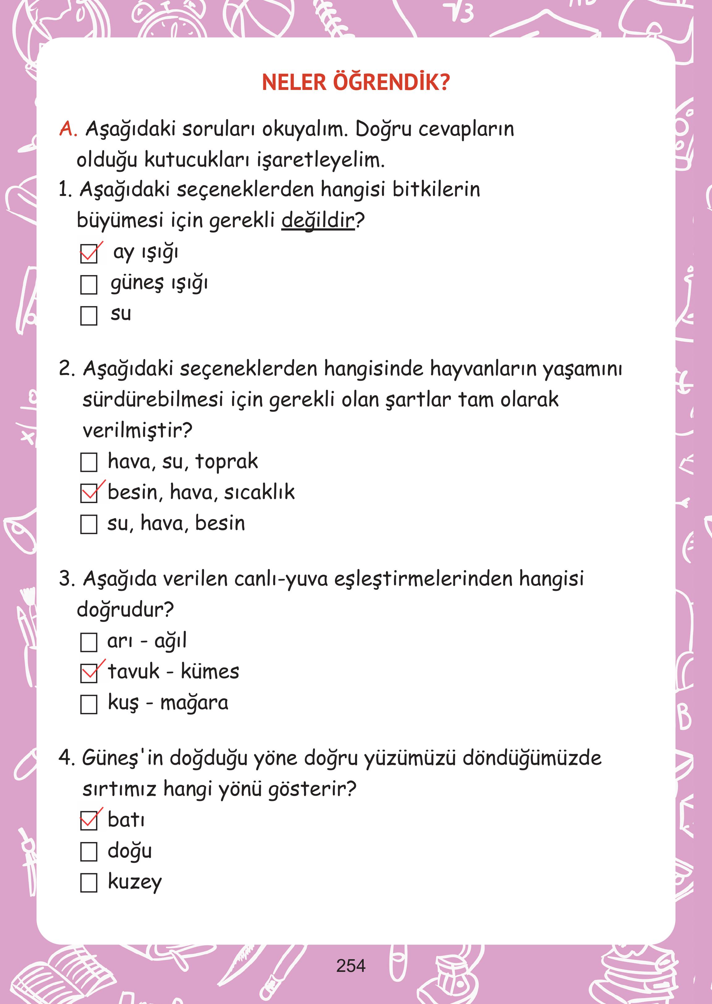 2. Sınıf Meb Yayınları Hayat Bilgisi Ders Kitabı Sayfa 254 Cevapları