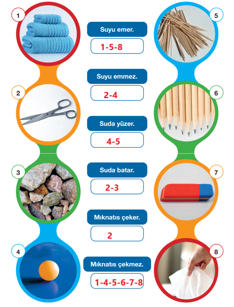 4. Sınıf Pasifik Yayınları Fen Bilimleri Ders Kitabı Sayfa 123 Cevapları 4. Sınıf Pasifik Yayınları Fen Bilimleri Ders Kitabı Sayfa 123 Cevapları