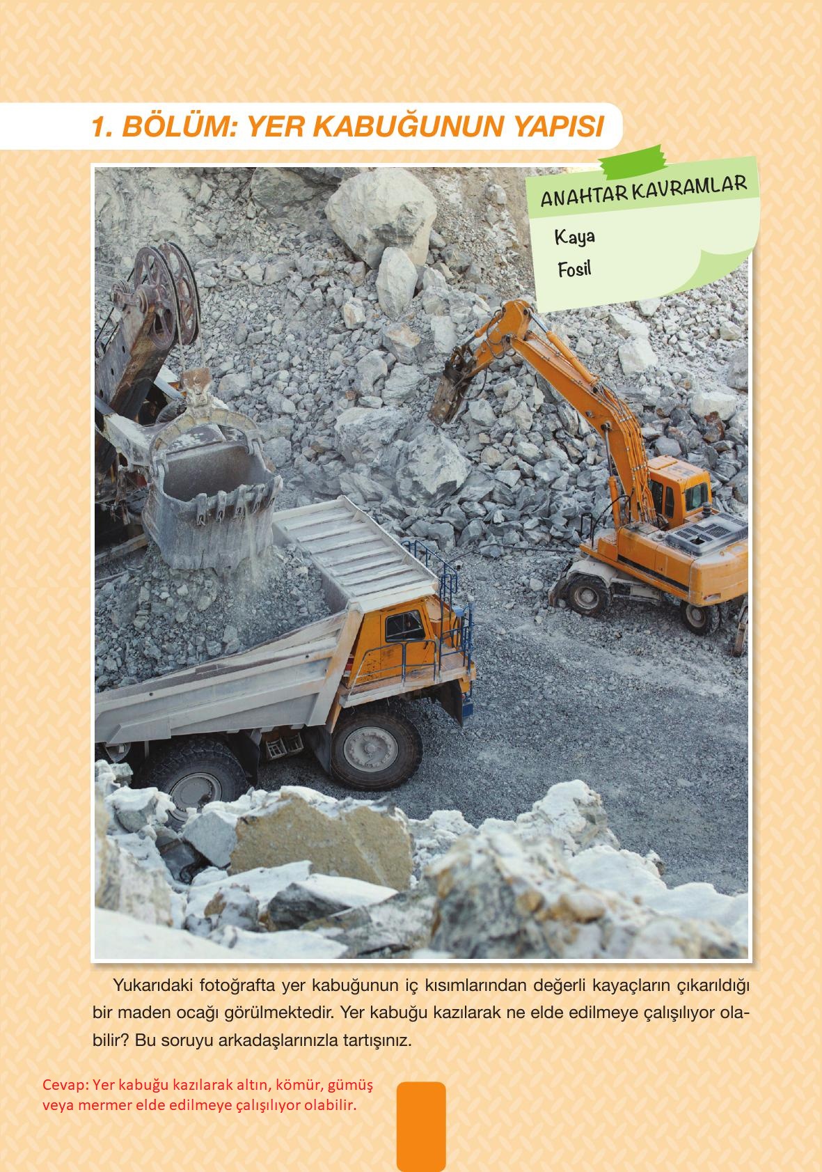 4. Sınıf Pasifik Yayınları Fen Bilimleri Ders Kitabı Sayfa 24 Cevapları