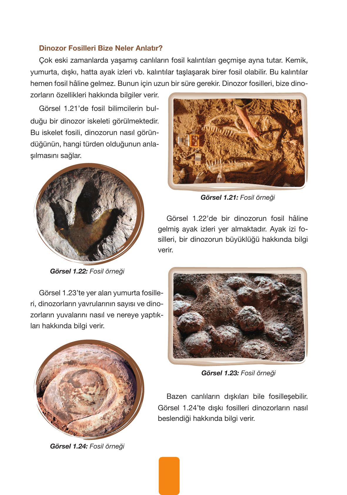 4. Sınıf Pasifik Yayınları Fen Bilimleri Ders Kitabı Sayfa 35 Cevapları 4. Sınıf Pasifik Yayınları Fen Bilimleri Ders Kitabı Sayfa 35 Cevapları