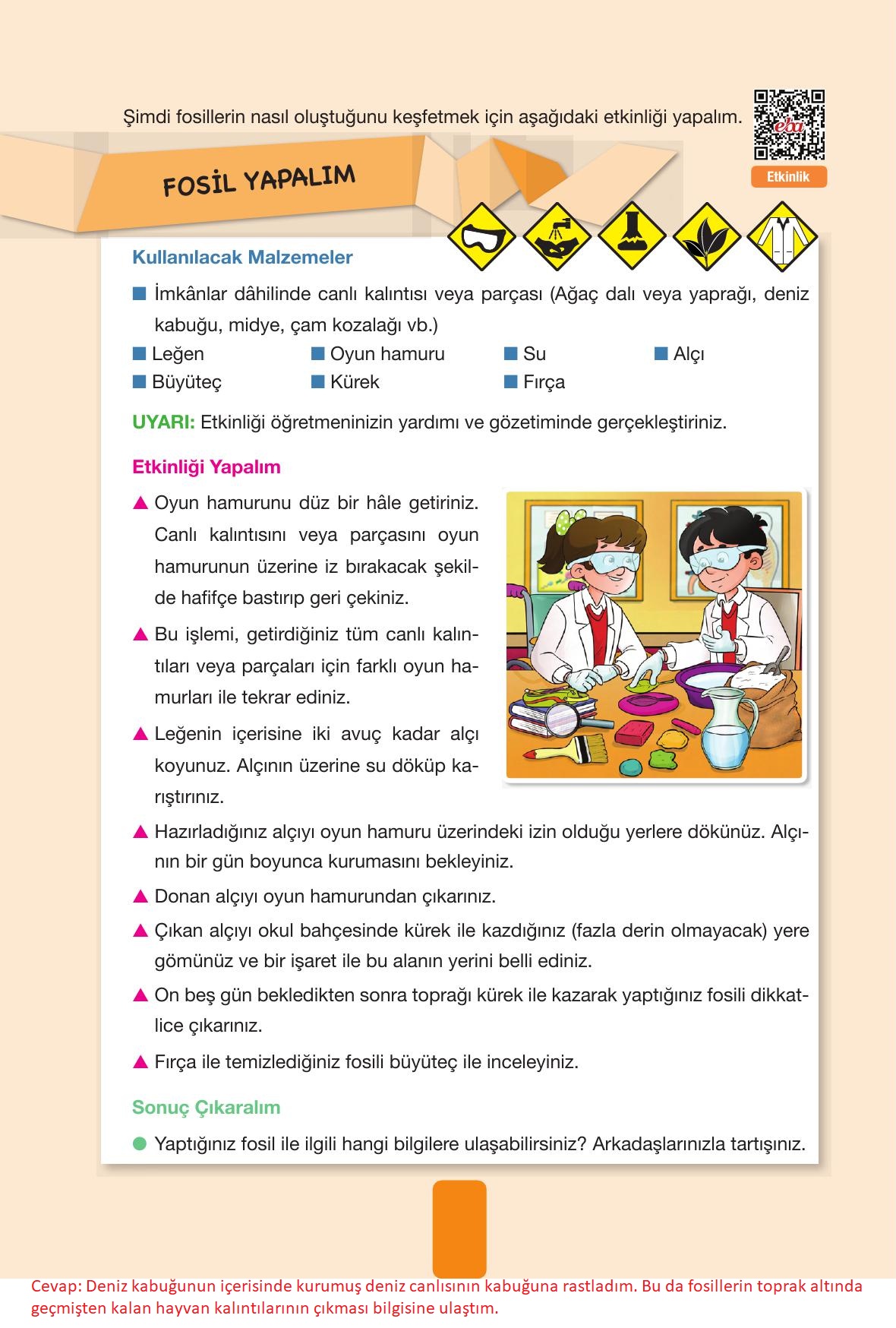 4. Sınıf Pasifik Yayınları Fen Bilimleri Ders Kitabı Sayfa 36 Cevapları 4. Sınıf Pasifik Yayınları Fen Bilimleri Ders Kitabı Sayfa 36 Cevapları