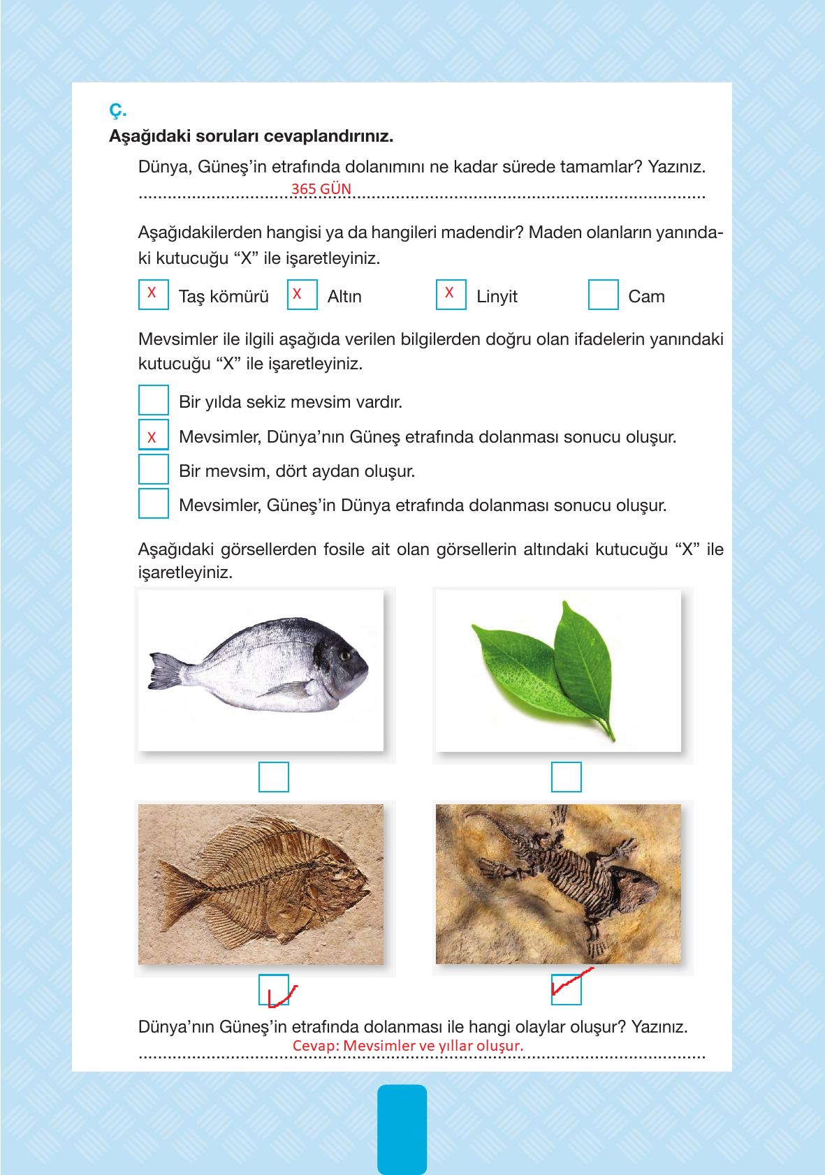 4. Sınıf Pasifik Yayınları Fen Bilimleri Ders Kitabı Sayfa 53 Cevapları