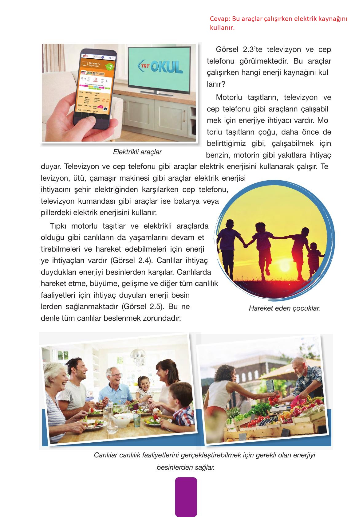 4. Sınıf Pasifik Yayınları Fen Bilimleri Ders Kitabı Sayfa 60 Cevapları