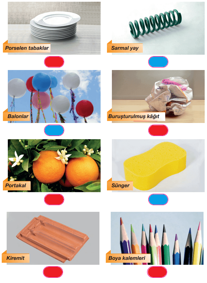 4. Sınıf Pasifik Yayınları Fen Bilimleri Ders Kitabı Sayfa 99 Cevapları 4. Sınıf Pasifik Yayınları Fen Bilimleri Ders Kitabı Sayfa 99 Cevapları