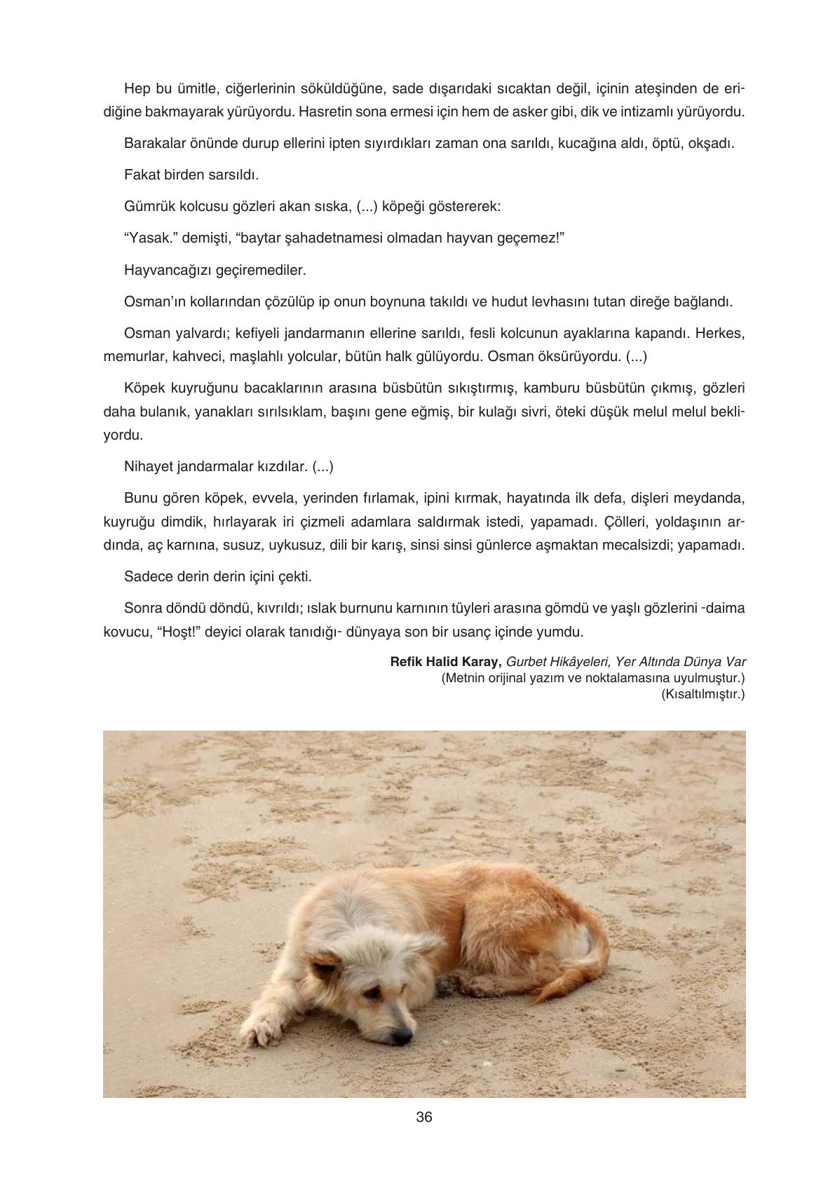 11. Sınıf Gizem Yayınları Türk Dili Ve Edebiyatı Ders Kitabı Sayfa 36 Cevapları