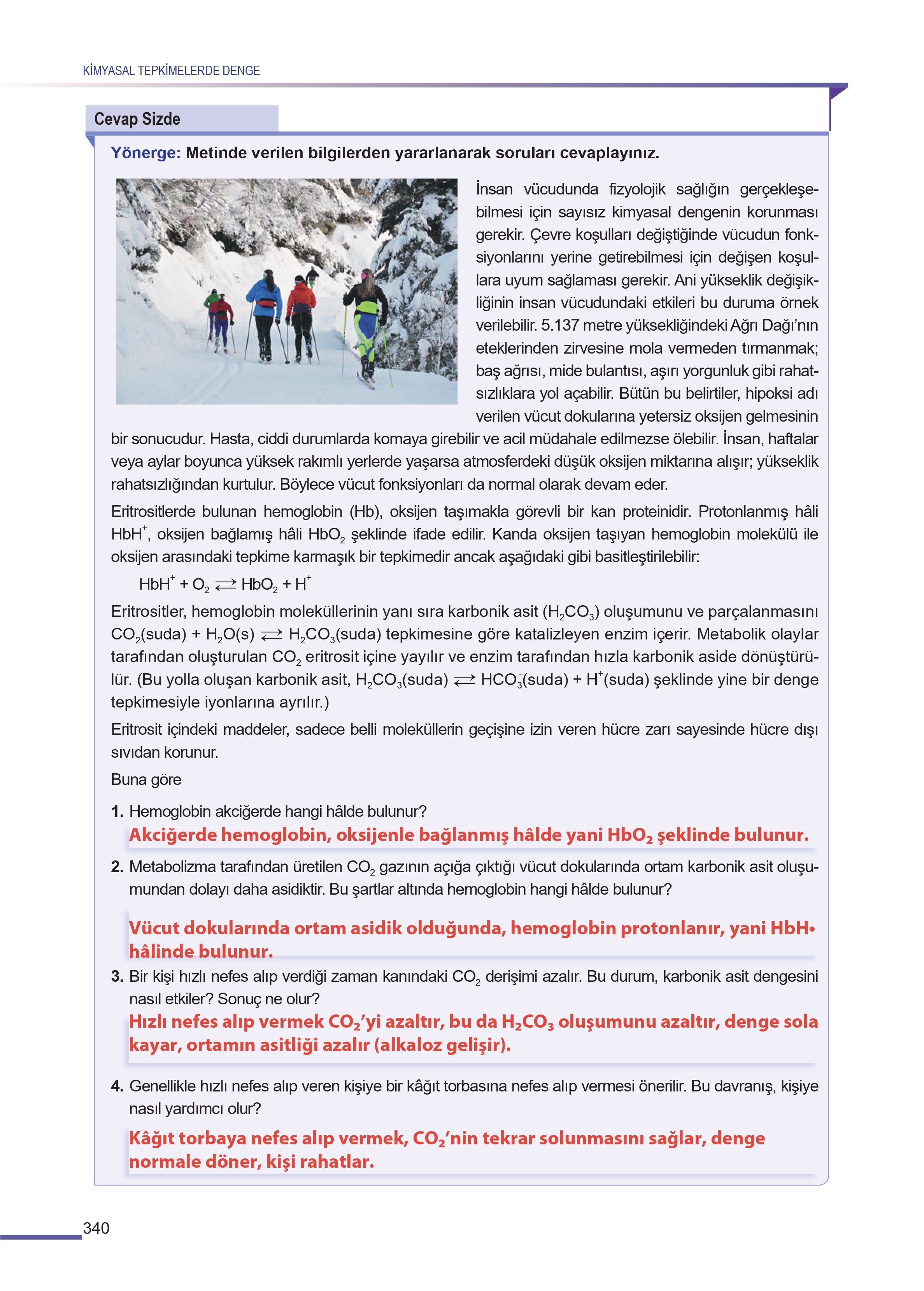 11. Sınıf Meb Yayınları Fen Lisesi Kimya Ders Kitabı Sayfa 340 Cevapları