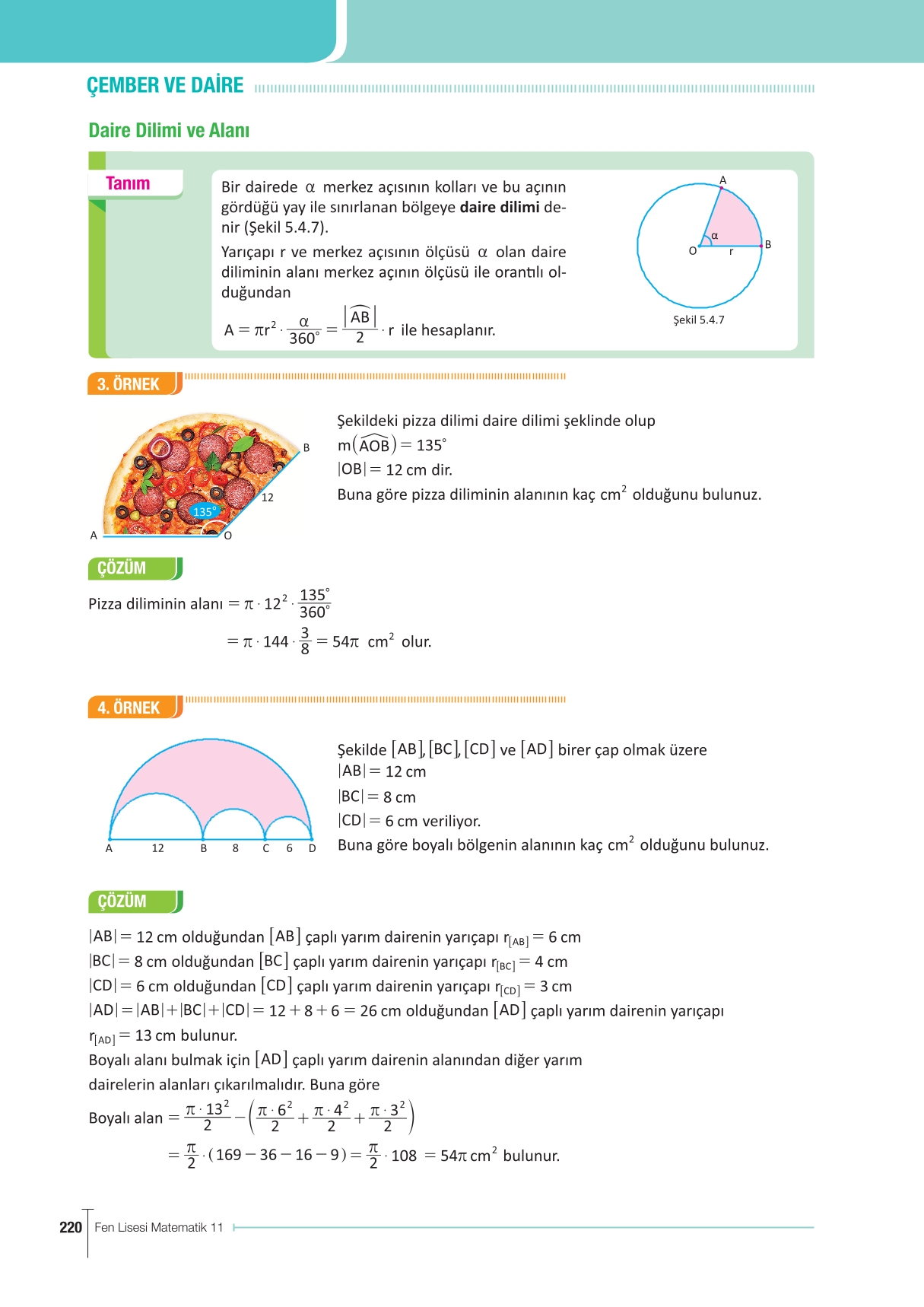 11. Sınıf Meb Yayınları Fen Lisesi Matematik Ders Kitabı Sayfa 220 Cevapları