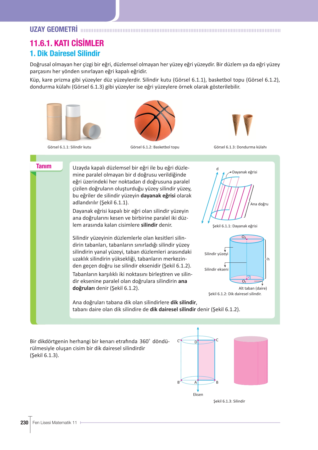 11. Sınıf Meb Yayınları Fen Lisesi Matematik Ders Kitabı Sayfa 230 Cevapları
