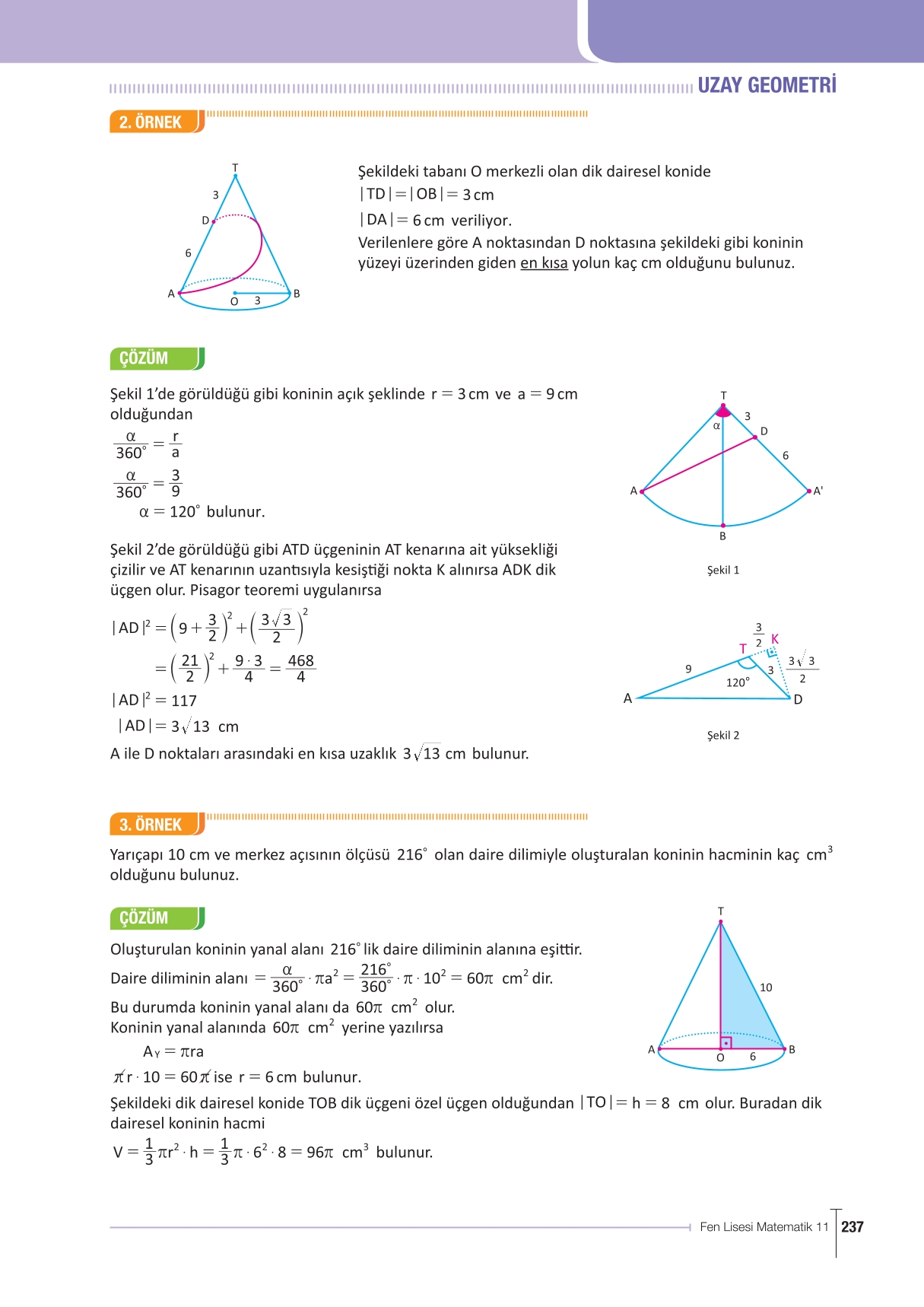 11. Sınıf Meb Yayınları Fen Lisesi Matematik Ders Kitabı Sayfa 237 Cevapları