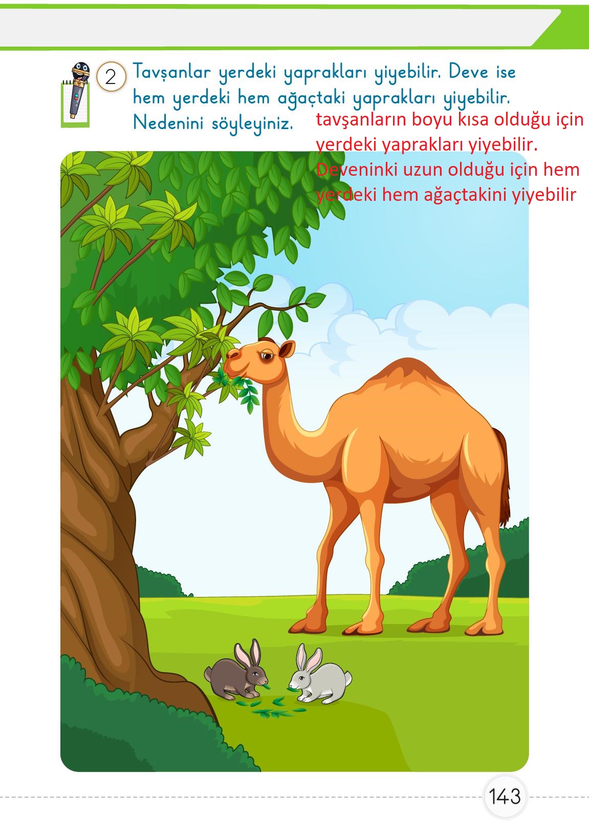 1. Sınıf Meb Yayınları Matematik Ders Kitabı 1. Kitap Sayfa 143 Cevapları