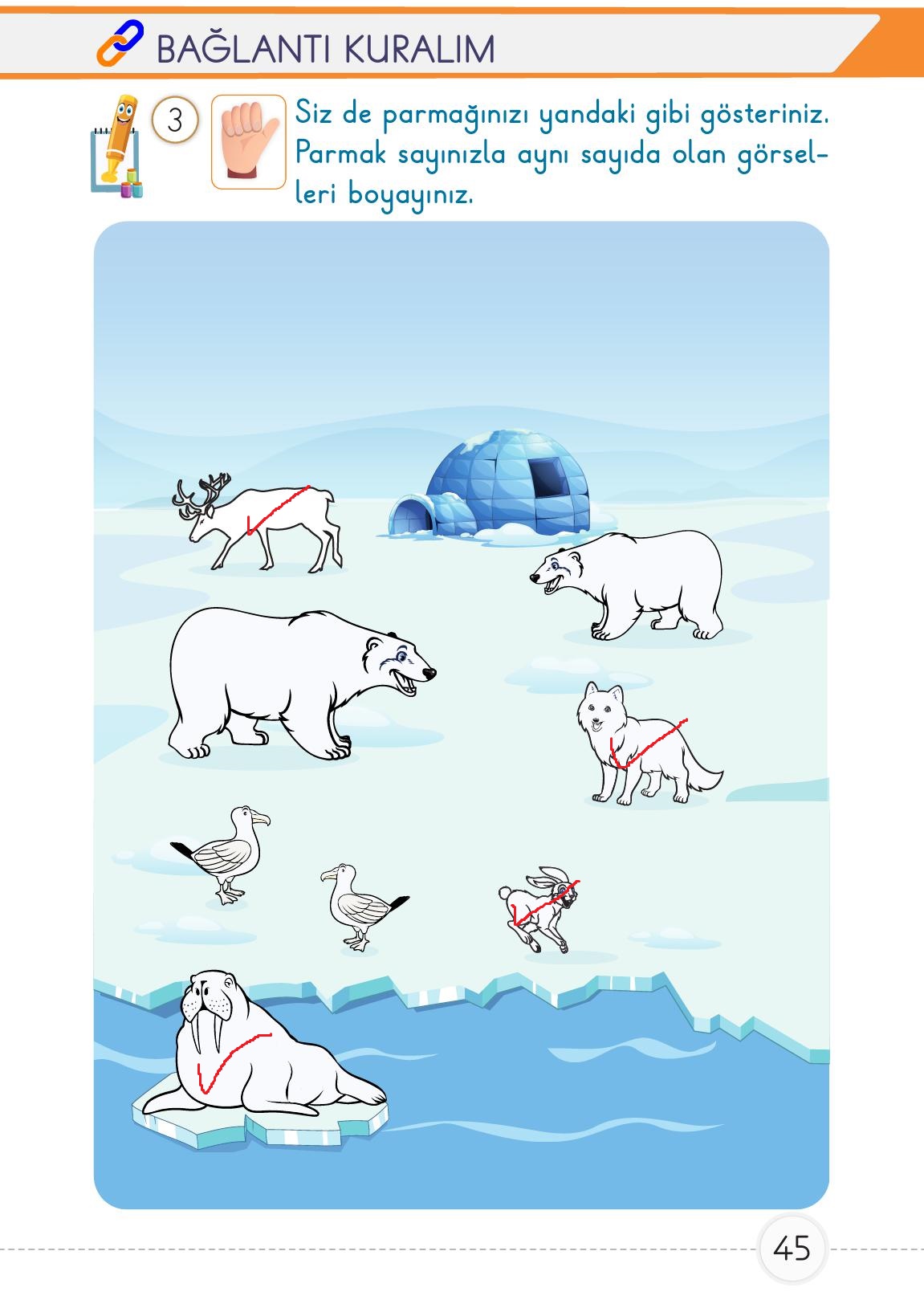 1. Sınıf Meb Yayınları Matematik Ders Kitabı 1. Kitap Sayfa 45 Cevapları 1. Sınıf Meb Yayınları Matematik Ders Kitabı 1. Kitap Sayfa 45 Cevapları