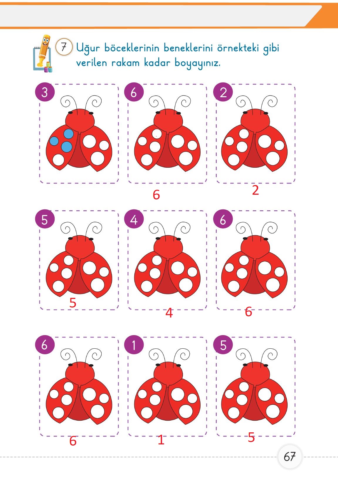 1. Sınıf Meb Yayınları Matematik Ders Kitabı 1. Kitap Sayfa 67 Cevapları