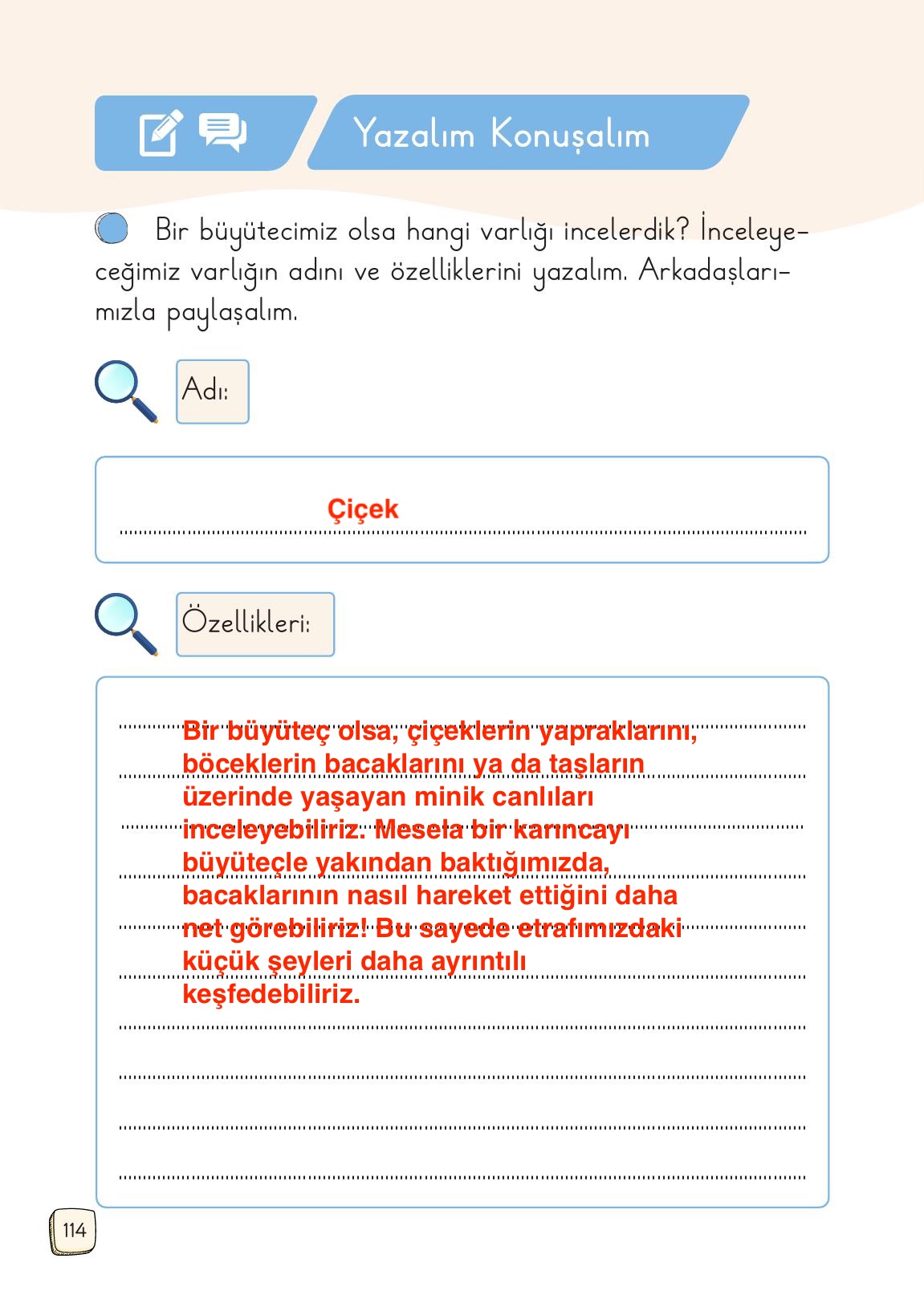 1. Sınıf Meb Yayınları Türkçe Ders Kitabı 1. Kitap Sayfa 114 Cevapları