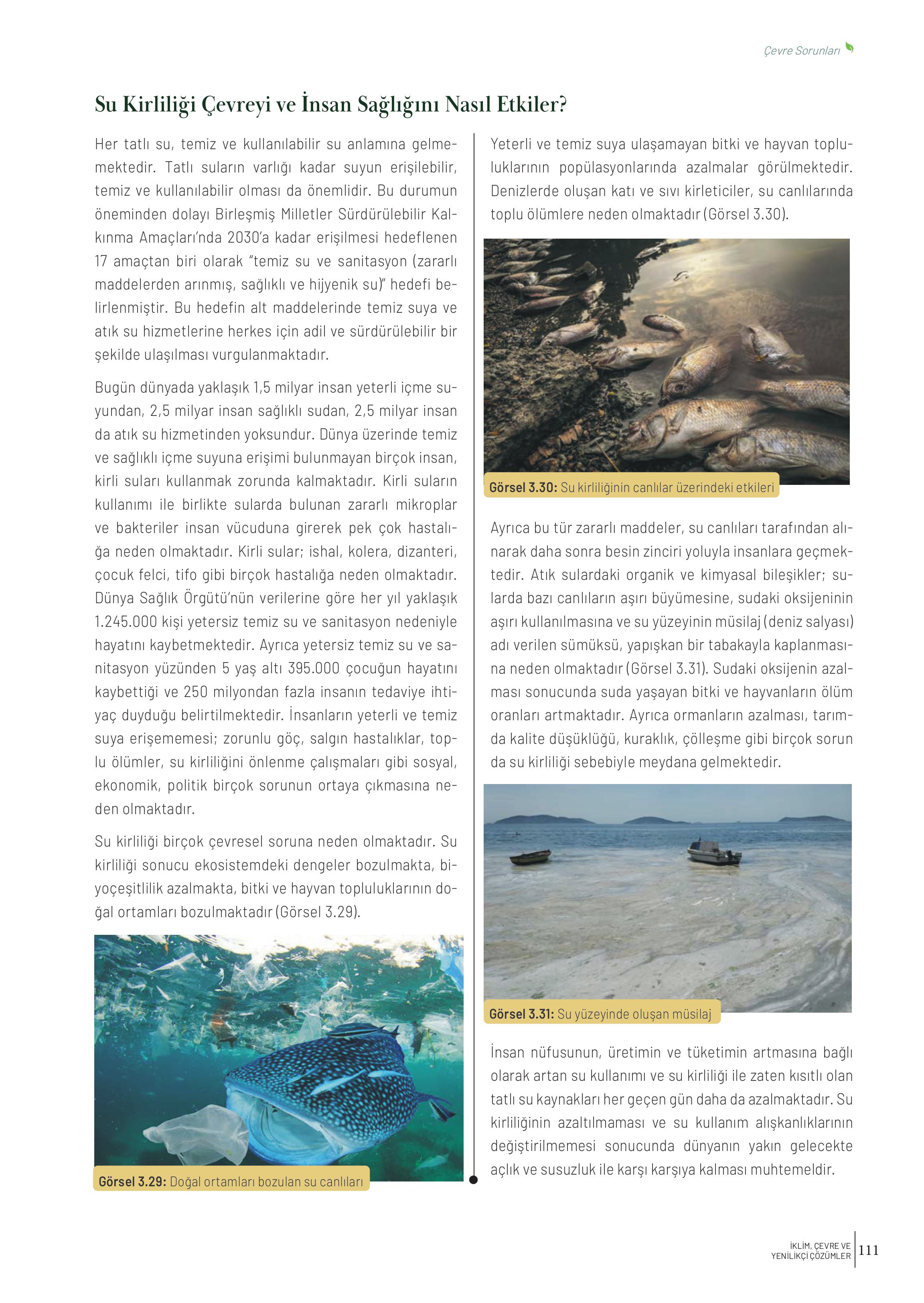 10-11-12. Sınıf Meb Yayınları İklim Çevre Ve Yenilikçi Çözümler Ders Kitabı Sayfa 111 Cevapları 10-11-12. Sınıf Meb Yayınları İklim Çevre Ve Yenilikçi Çözümler Ders Kitabı Sayfa 111 Cevapları