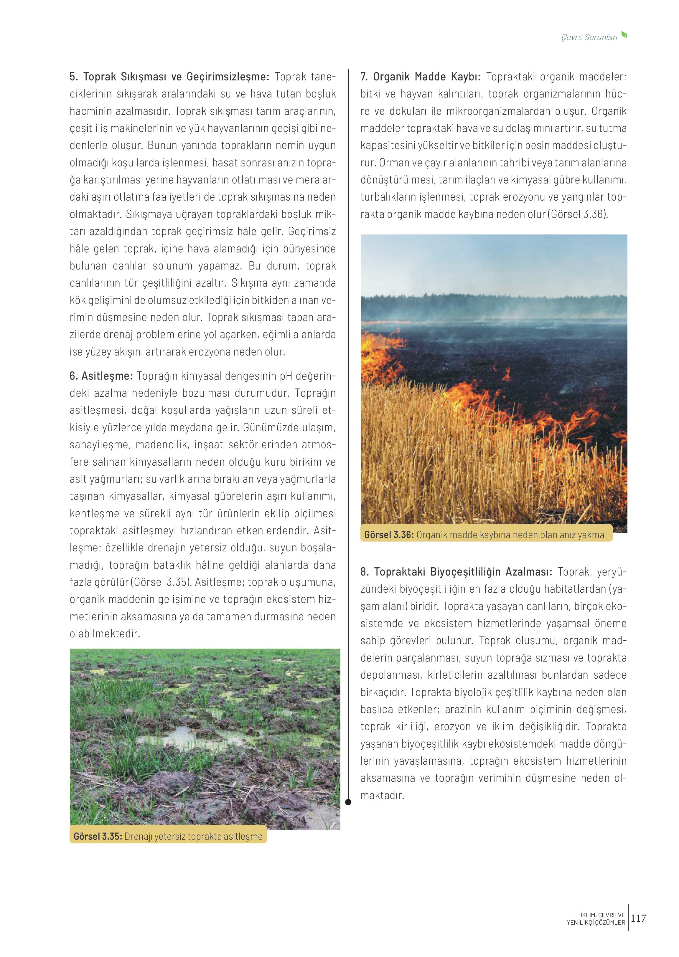 10-11-12. Sınıf Meb Yayınları İklim Çevre Ve Yenilikçi Çözümler Ders Kitabı Sayfa 117 Cevapları 10-11-12. Sınıf Meb Yayınları İklim Çevre Ve Yenilikçi Çözümler Ders Kitabı Sayfa 117 Cevapları