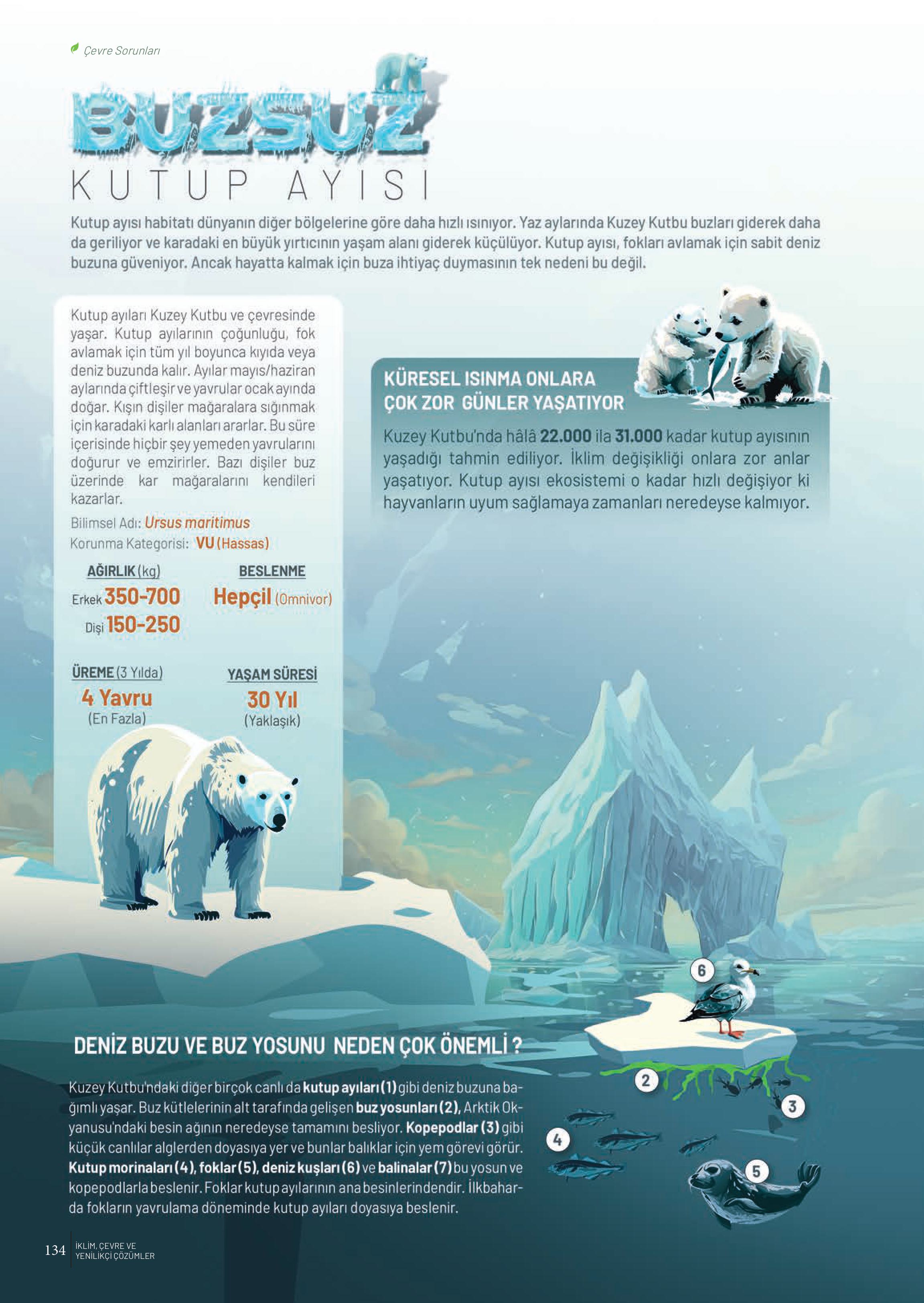 10-11-12. Sınıf Meb Yayınları İklim Çevre Ve Yenilikçi Çözümler Ders Kitabı Sayfa 134 Cevapları 10-11-12. Sınıf Meb Yayınları İklim Çevre Ve Yenilikçi Çözümler Ders Kitabı Sayfa 134 Cevapları