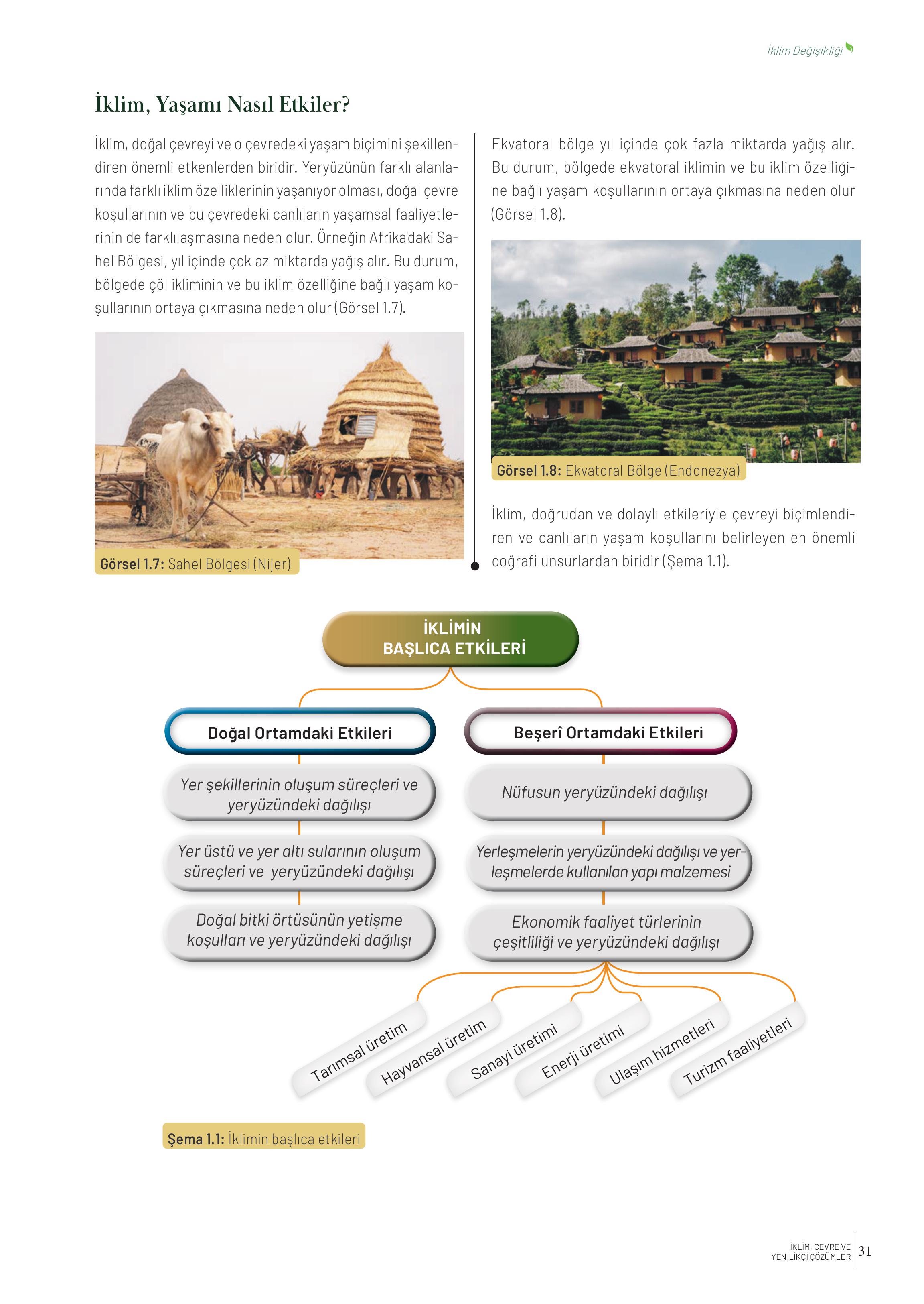 10-11-12. Sınıf Meb Yayınları İklim Çevre Ve Yenilikçi Çözümler Ders Kitabı Sayfa 31 Cevapları 10-11-12. Sınıf Meb Yayınları İklim Çevre Ve Yenilikçi Çözümler Ders Kitabı Sayfa 31 Cevapları