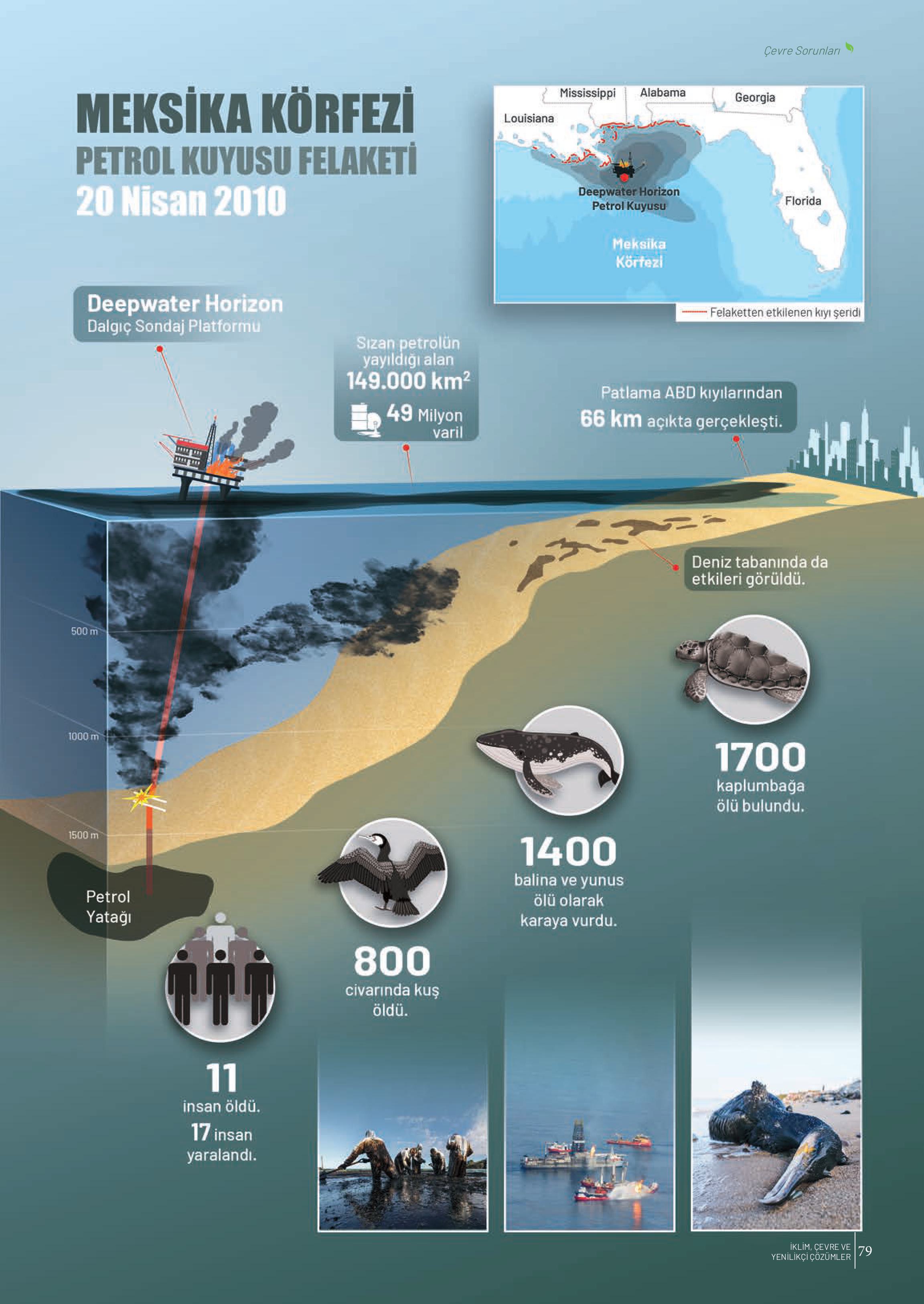 10-11-12. Sınıf Meb Yayınları İklim Çevre Ve Yenilikçi Çözümler Ders Kitabı Sayfa 79 Cevapları