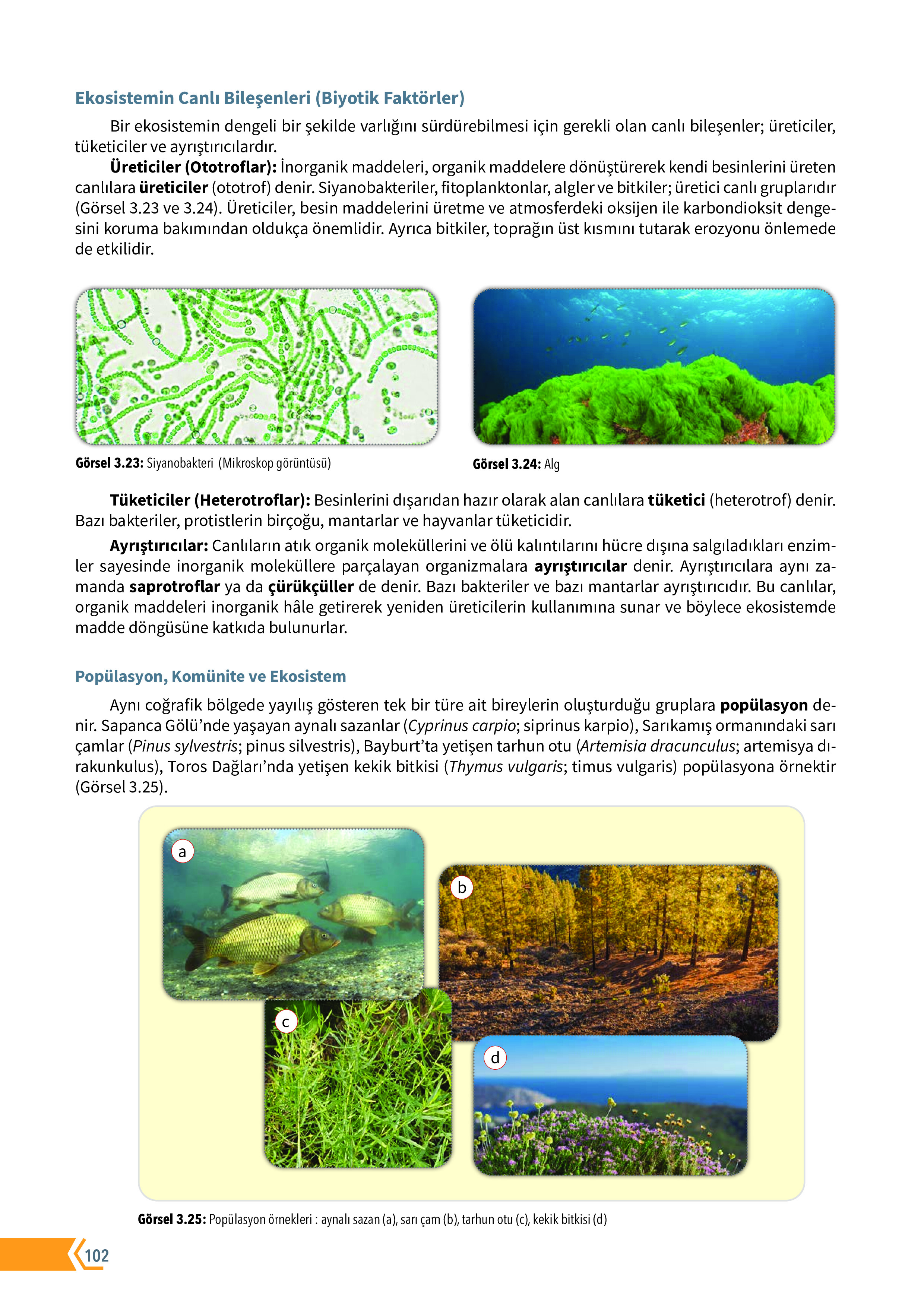 10. Sınıf Meb Yayınları Fen Lisesi Biyoloji Ders Kitabı Sayfa 102 Cevapları 10. Sınıf Meb Yayınları Fen Lisesi Biyoloji Ders Kitabı Sayfa 102 Cevapları
