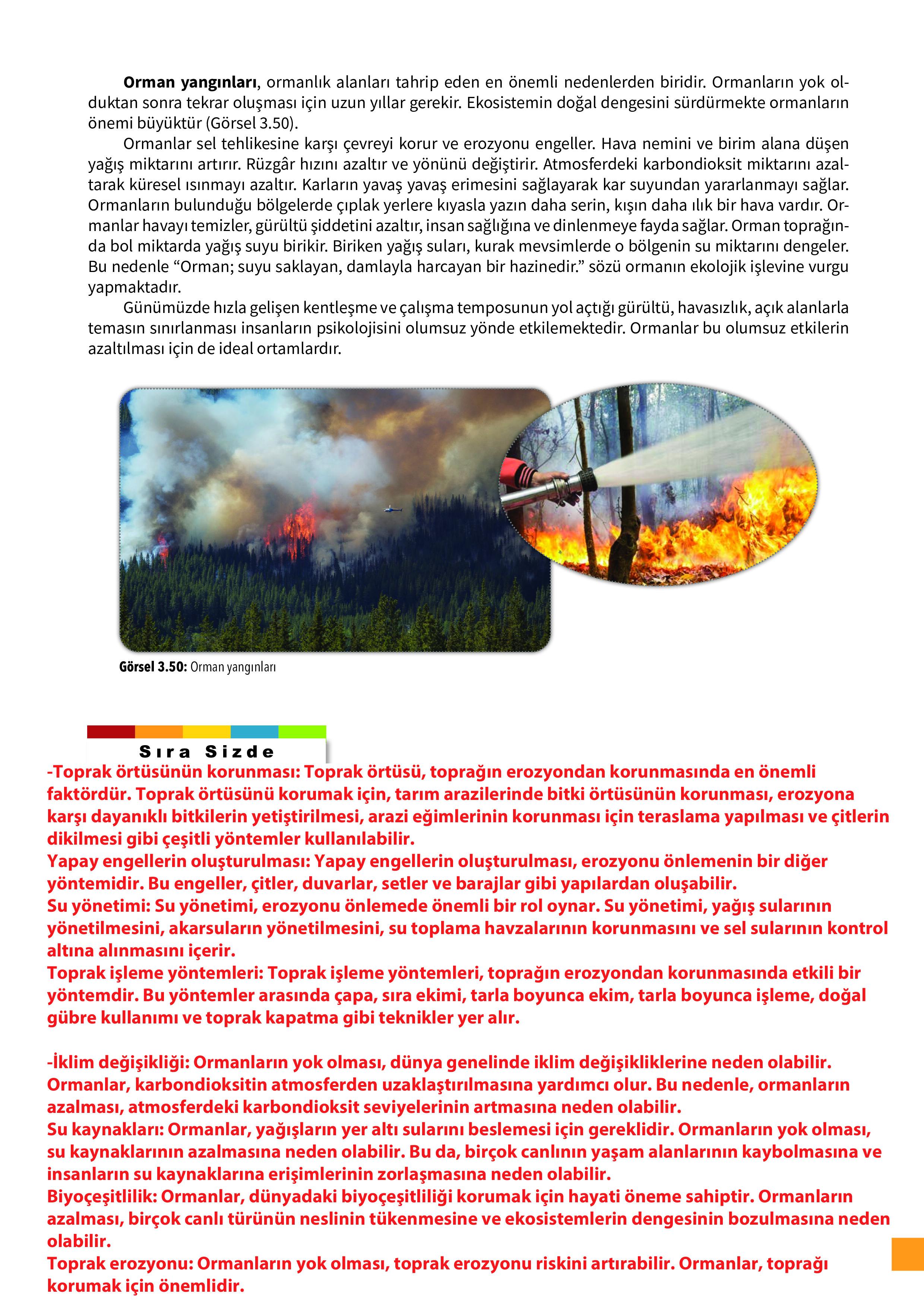 10. Sınıf Meb Yayınları Fen Lisesi Biyoloji Ders Kitabı Sayfa 121 Cevapları 10. Sınıf Meb Yayınları Fen Lisesi Biyoloji Ders Kitabı Sayfa 121 Cevapları
