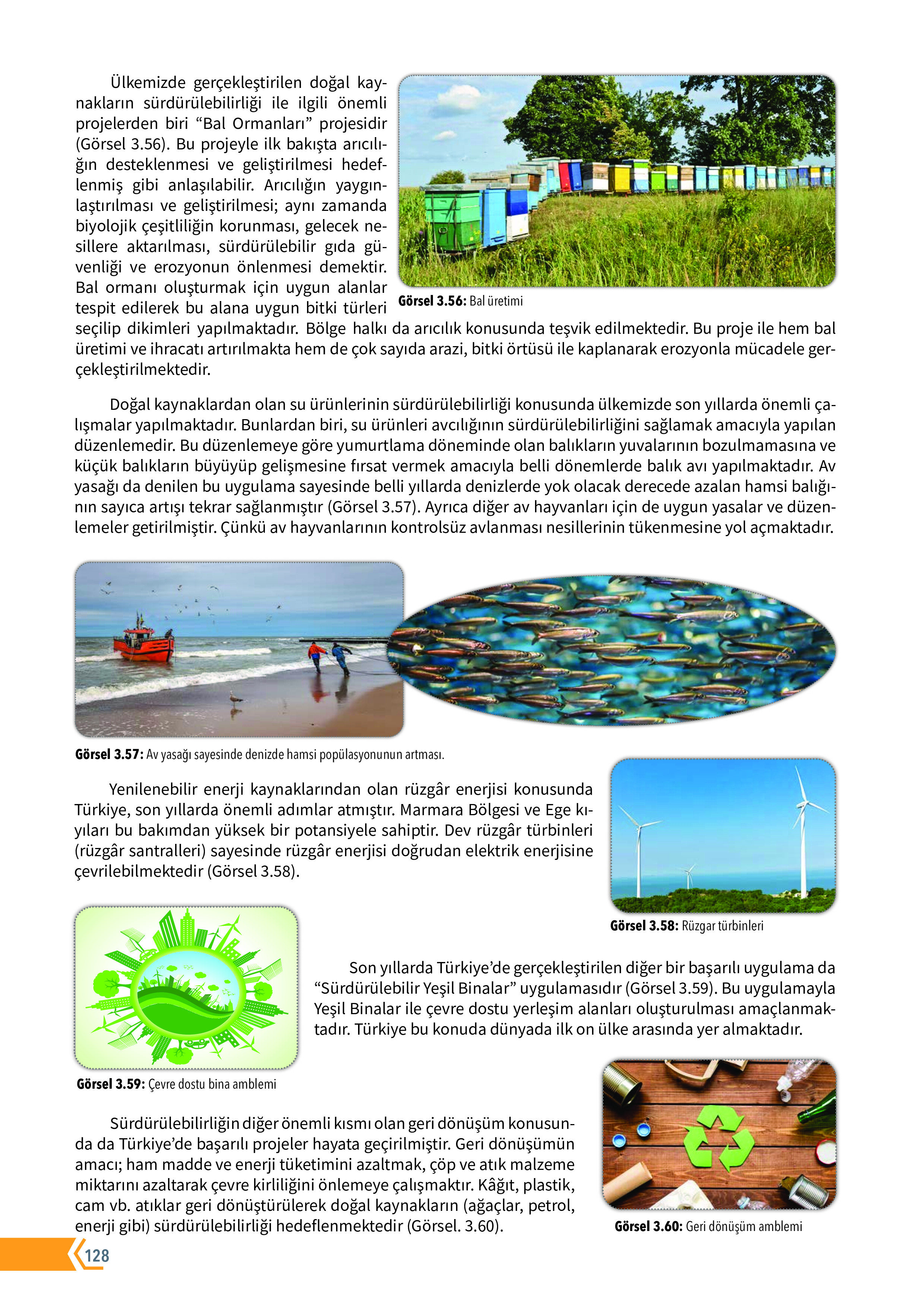 10. Sınıf Meb Yayınları Fen Lisesi Biyoloji Ders Kitabı Sayfa 128 Cevapları 10. Sınıf Meb Yayınları Fen Lisesi Biyoloji Ders Kitabı Sayfa 128 Cevapları