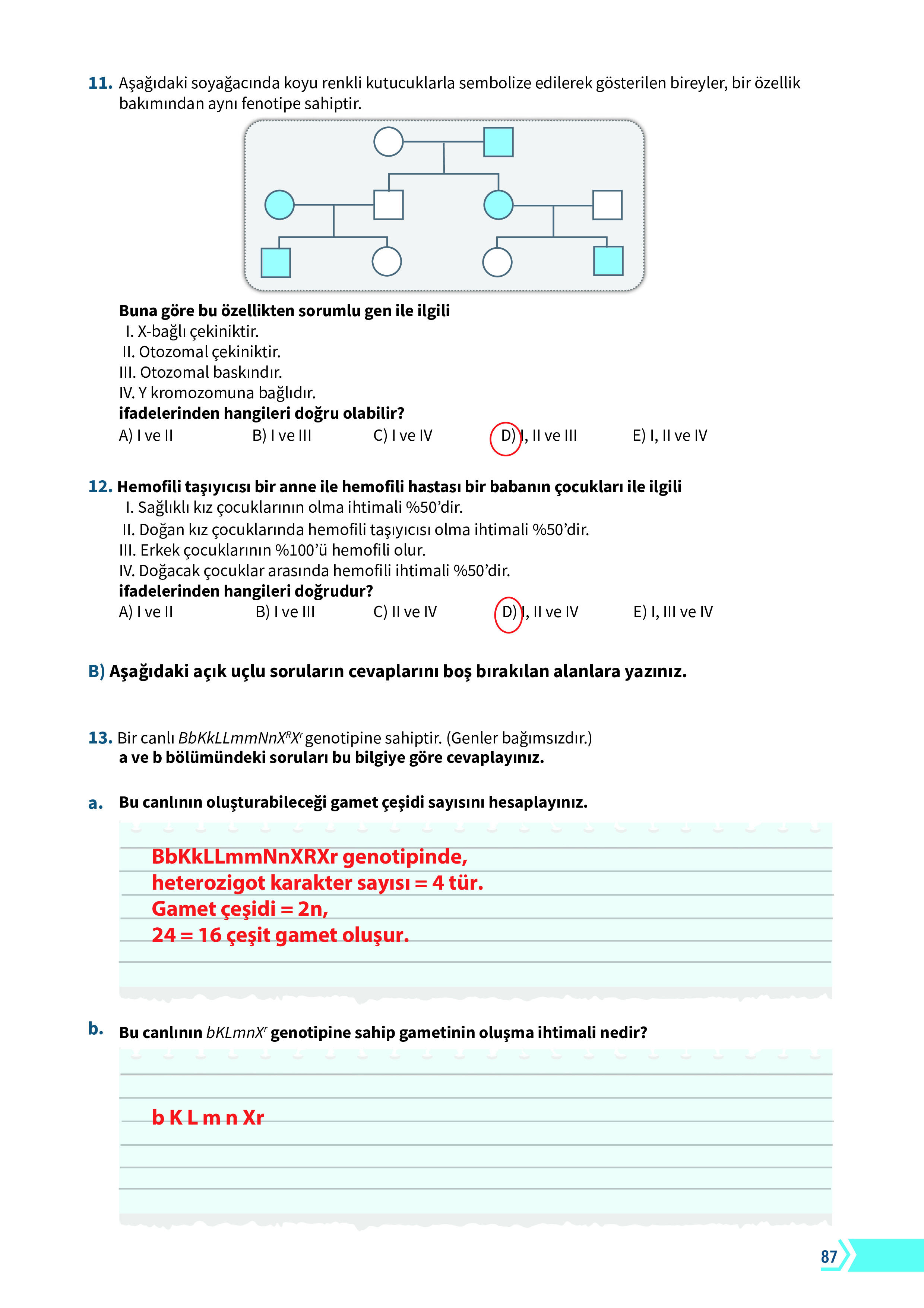 10. Sınıf Meb Yayınları Fen Lisesi Biyoloji Ders Kitabı Sayfa 87 Cevapları 10. Sınıf Meb Yayınları Fen Lisesi Biyoloji Ders Kitabı Sayfa 87 Cevapları