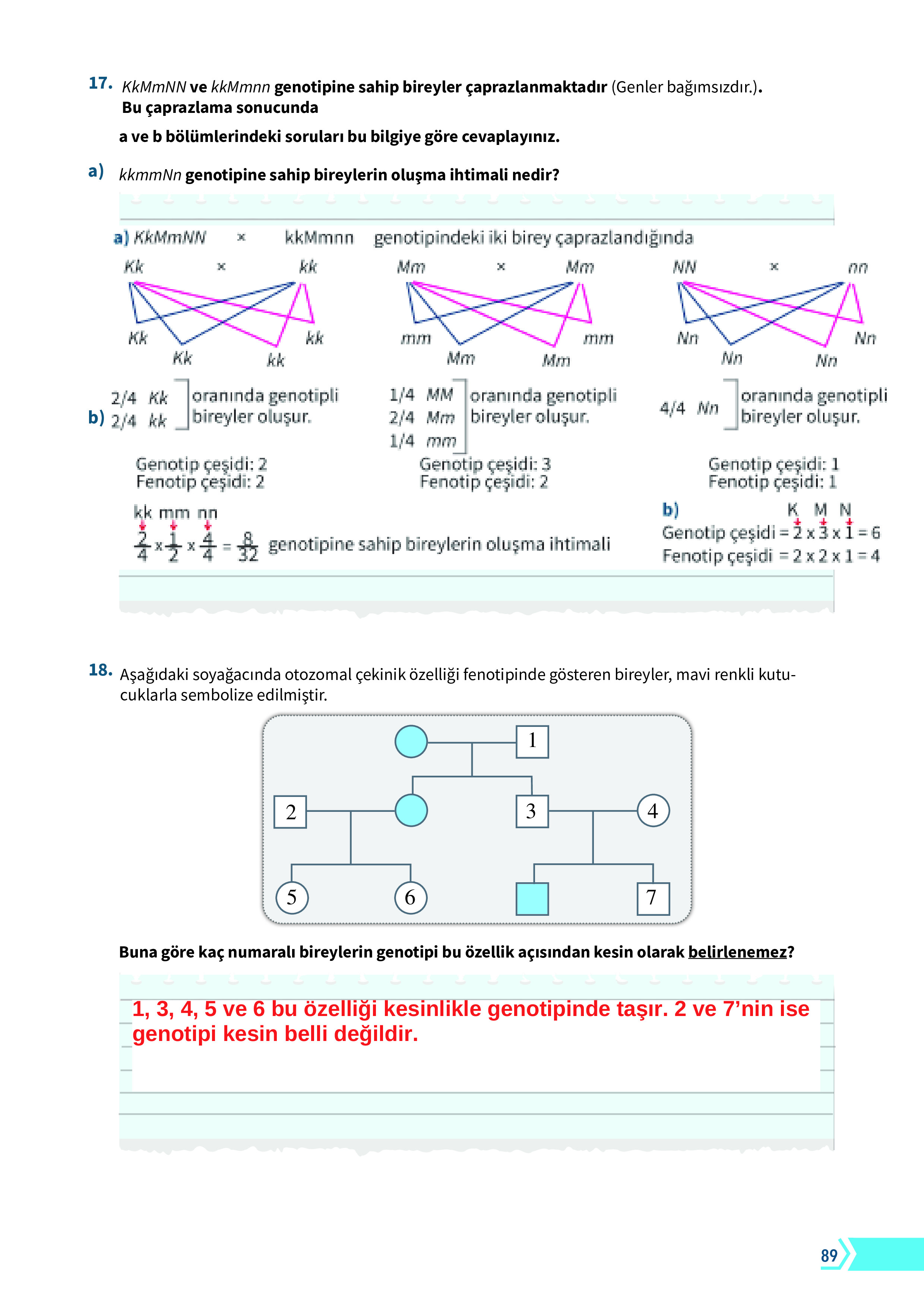 10. Sınıf Meb Yayınları Fen Lisesi Biyoloji Ders Kitabı Sayfa 89 Cevapları 10. Sınıf Meb Yayınları Fen Lisesi Biyoloji Ders Kitabı Sayfa 89 Cevapları
