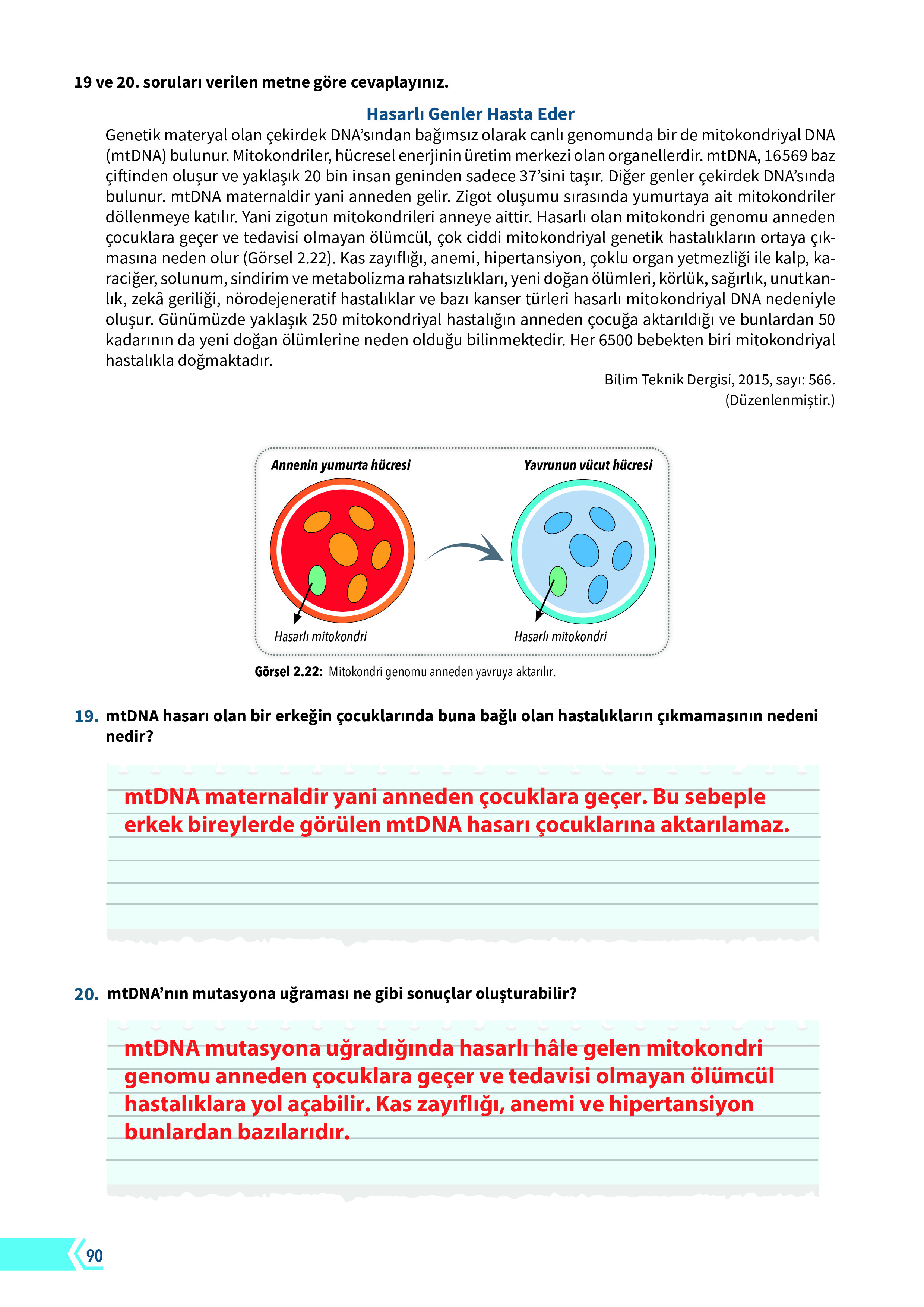 10. Sınıf Meb Yayınları Fen Lisesi Biyoloji Ders Kitabı Sayfa 90 Cevapları 10. Sınıf Meb Yayınları Fen Lisesi Biyoloji Ders Kitabı Sayfa 90 Cevapları