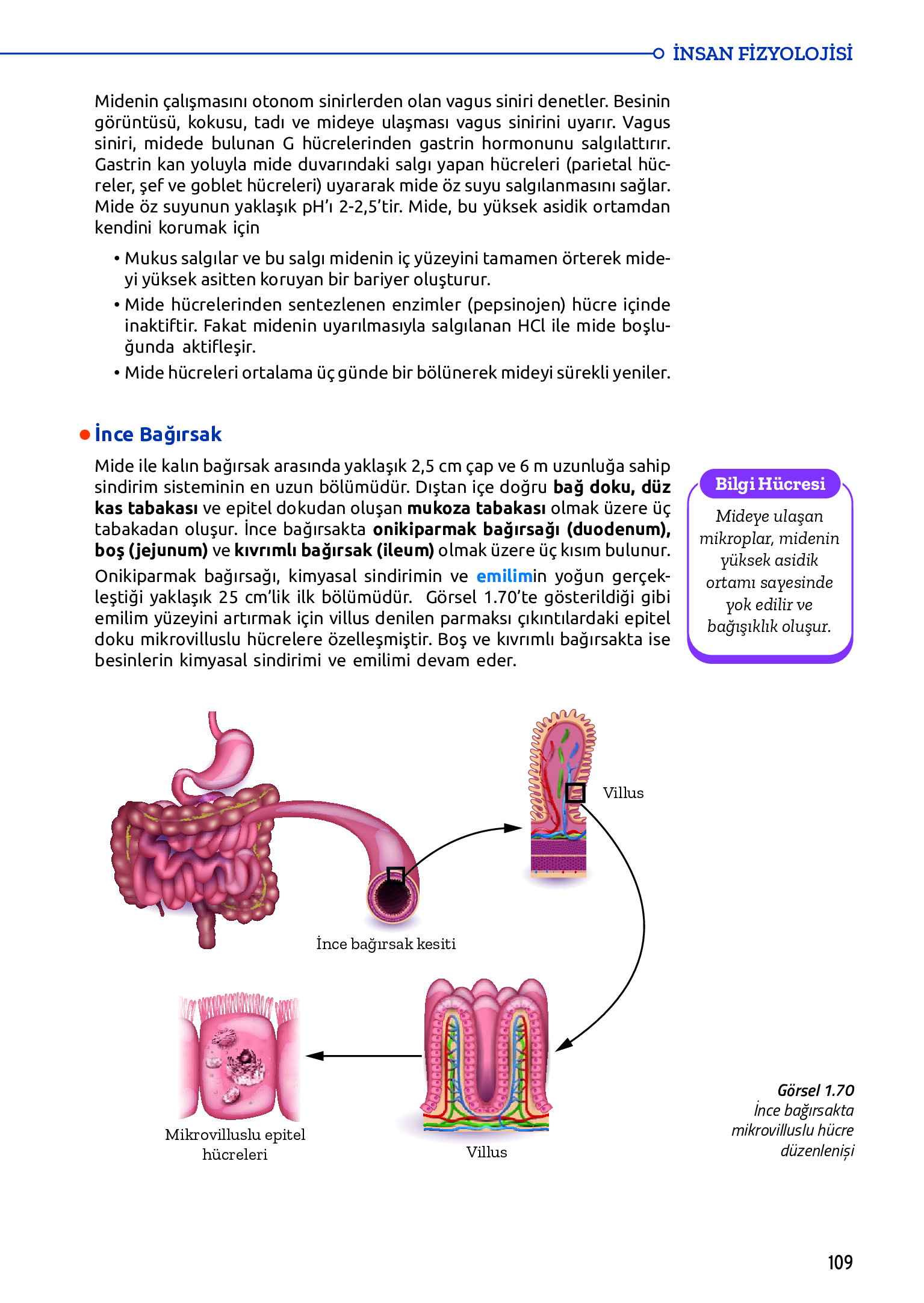 11. Sınıf Meb Yayınları Fen Lisesi Biyoloji Ders Kitabı Sayfa 109 Cevapları