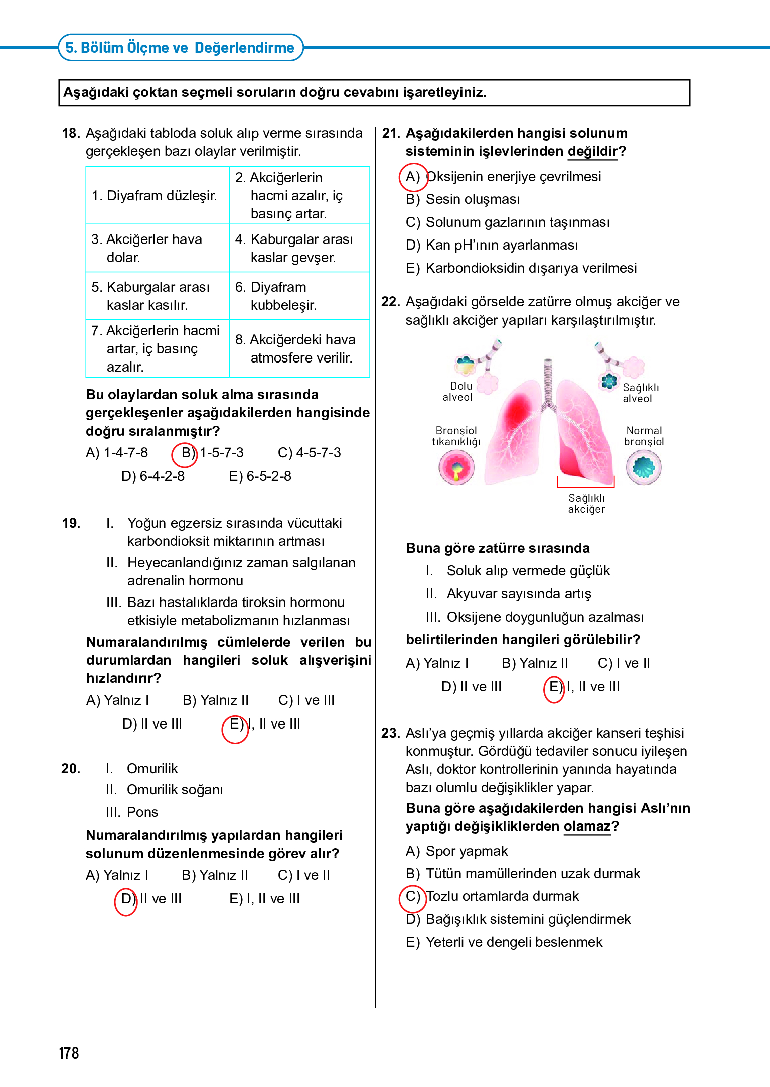 11. Sınıf Meb Yayınları Fen Lisesi Biyoloji Ders Kitabı Sayfa 178 Cevapları