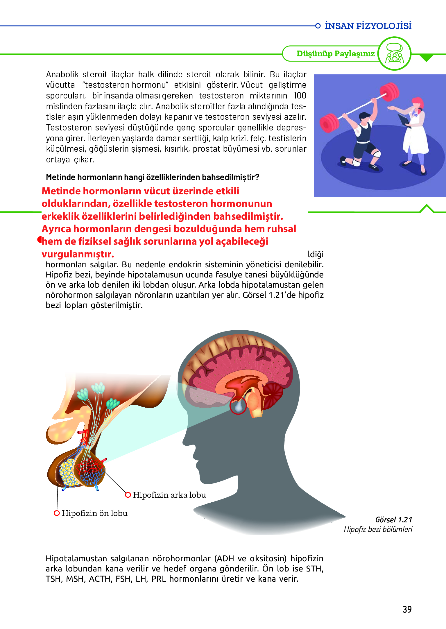 11. Sınıf Meb Yayınları Fen Lisesi Biyoloji Ders Kitabı Sayfa 39 Cevapları