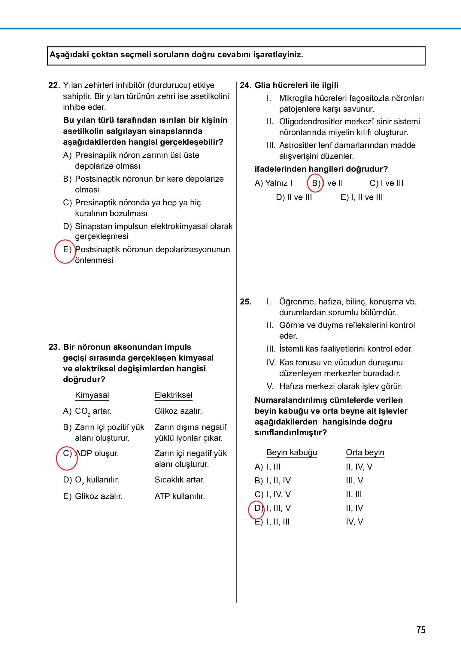 11. Sınıf Meb Yayınları Fen Lisesi Biyoloji Ders Kitabı Sayfa 75 Cevapları