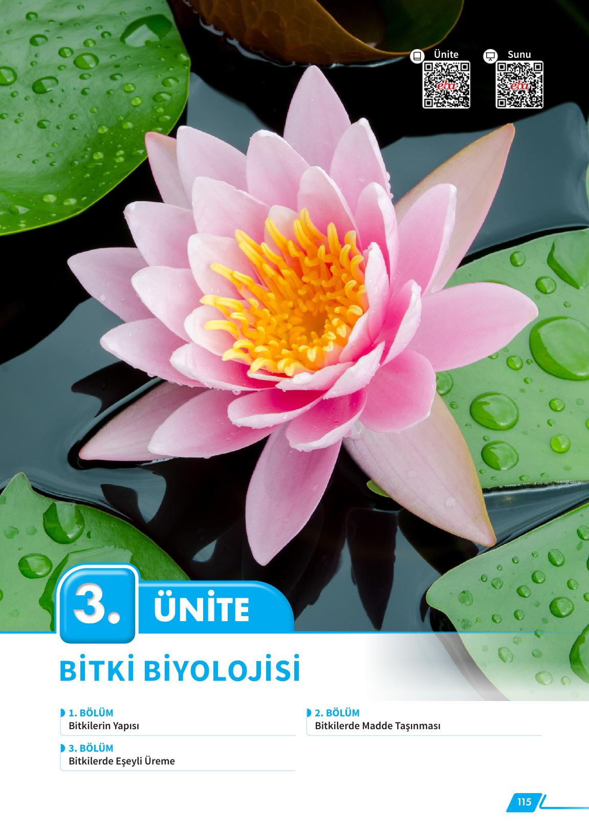 12. Sınıf Meb Yayınları Fen Lisesi Biyoloji Ders Kitabı Sayfa 115 Cevapları