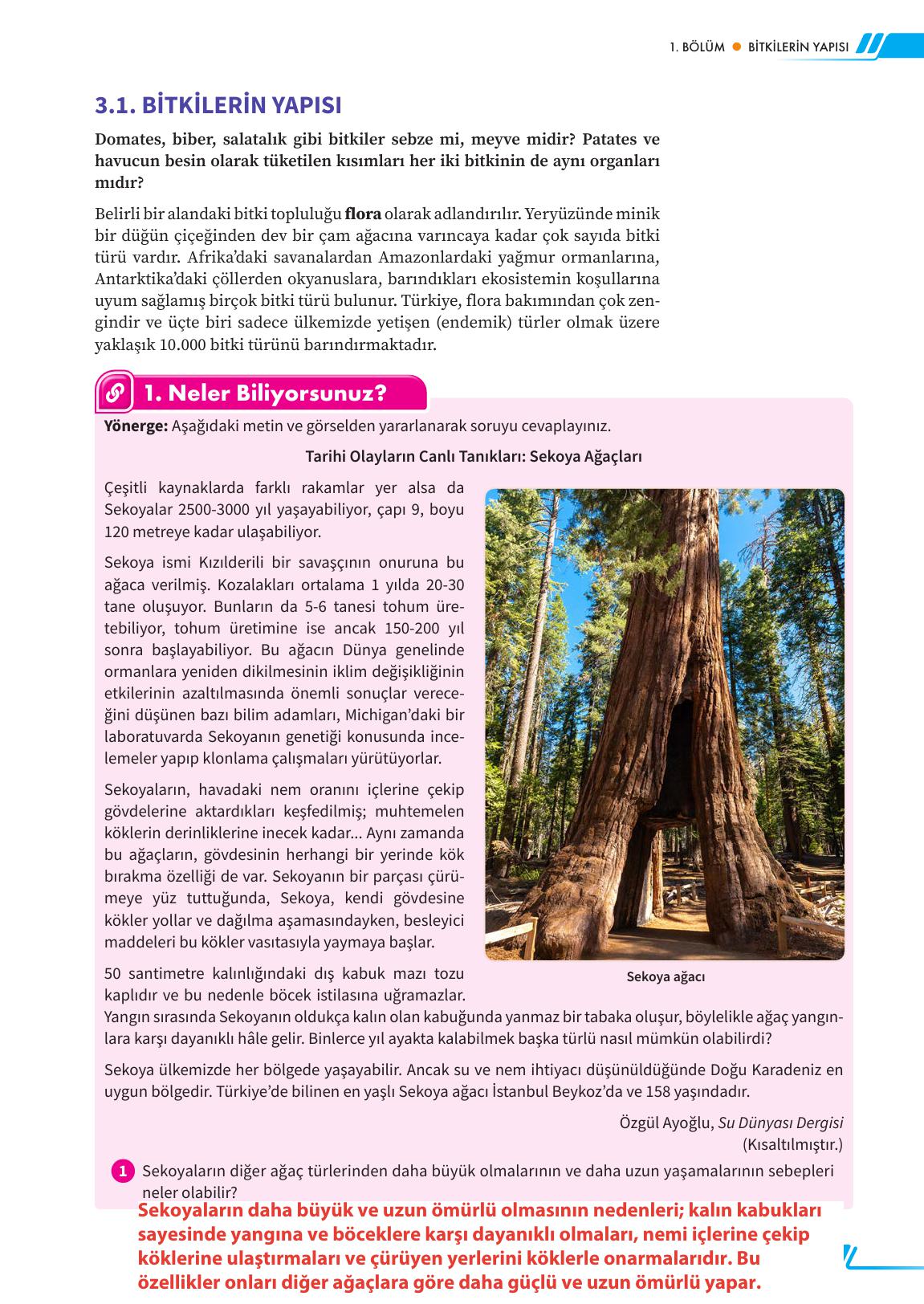 12. Sınıf Meb Yayınları Fen Lisesi Biyoloji Ders Kitabı Sayfa 117 Cevapları 12. Sınıf Meb Yayınları Fen Lisesi Biyoloji Ders Kitabı Sayfa 117 Cevapları