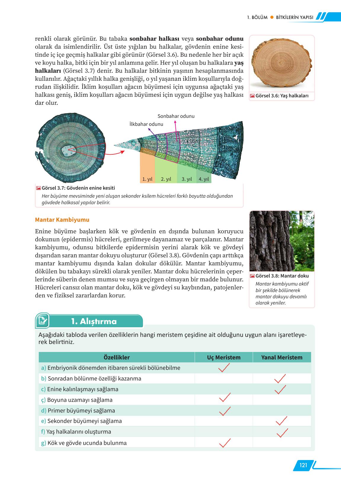 12. Sınıf Meb Yayınları Fen Lisesi Biyoloji Ders Kitabı Sayfa 121 Cevapları